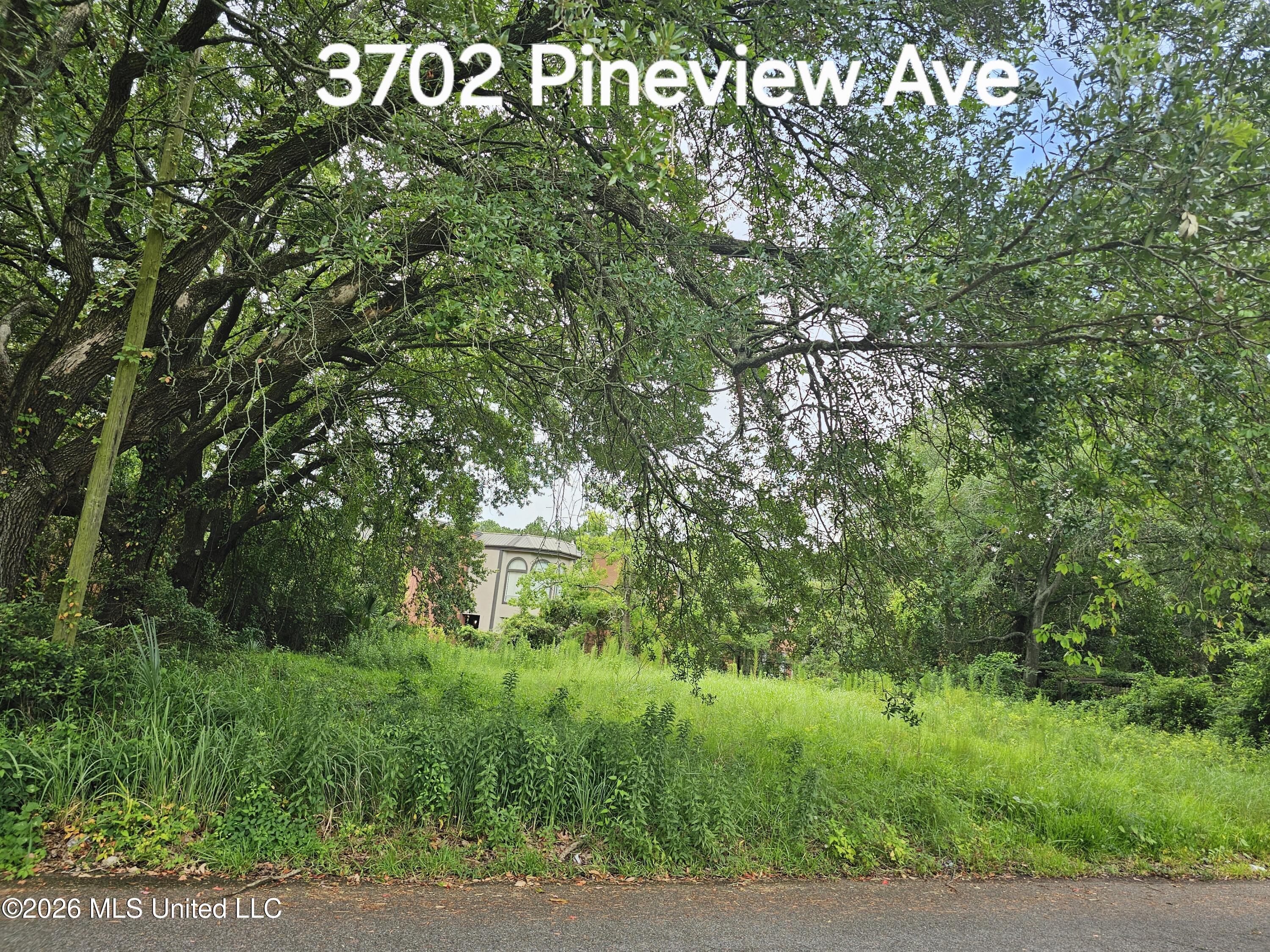 3702 Pineview Avenue Property Photo 1
