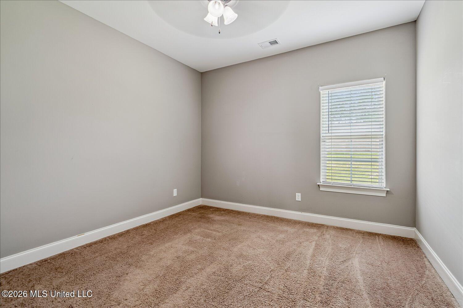 3033 Raspberry Red Cove Property Photo 11