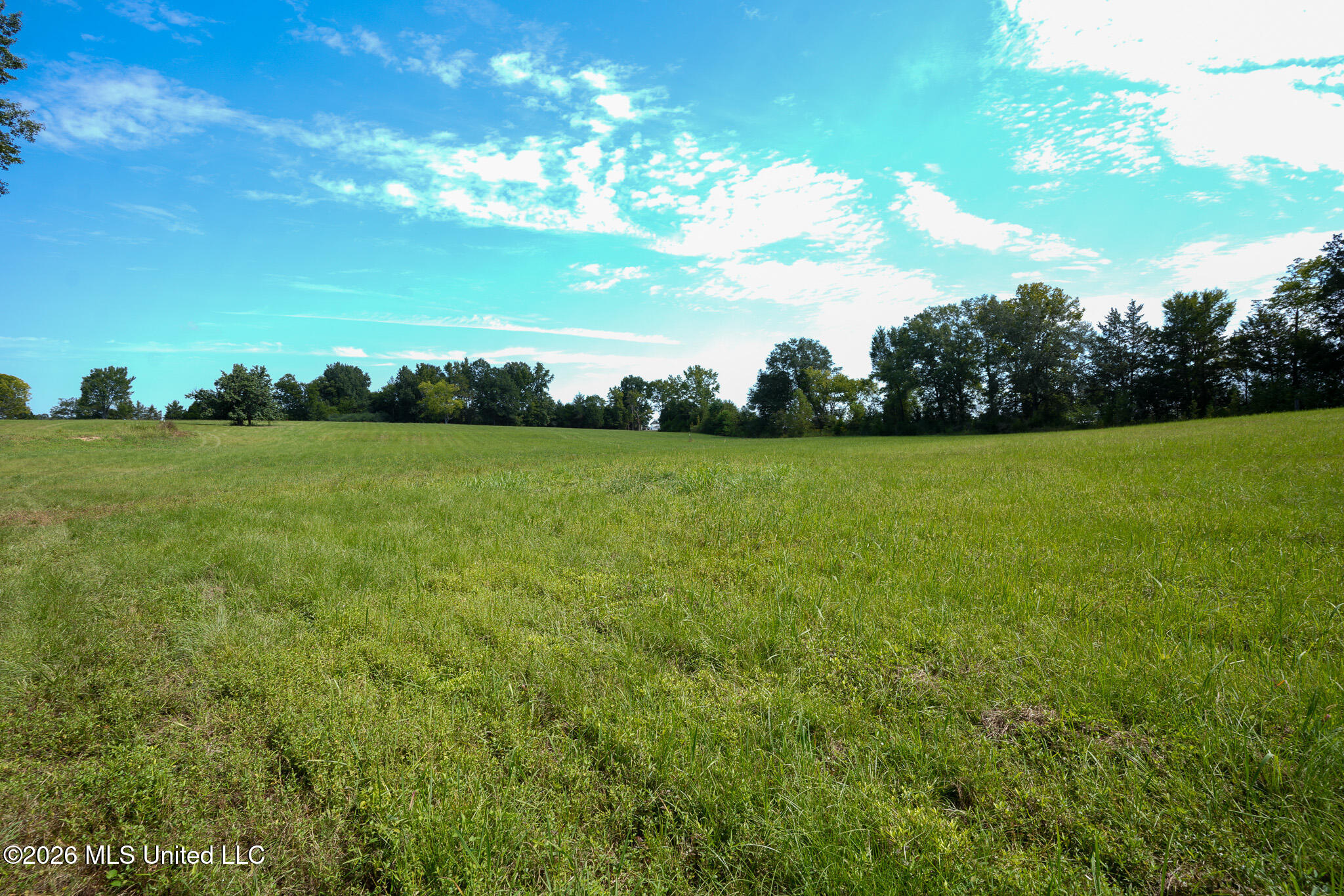 Grand Oaks Way Property Photo 3