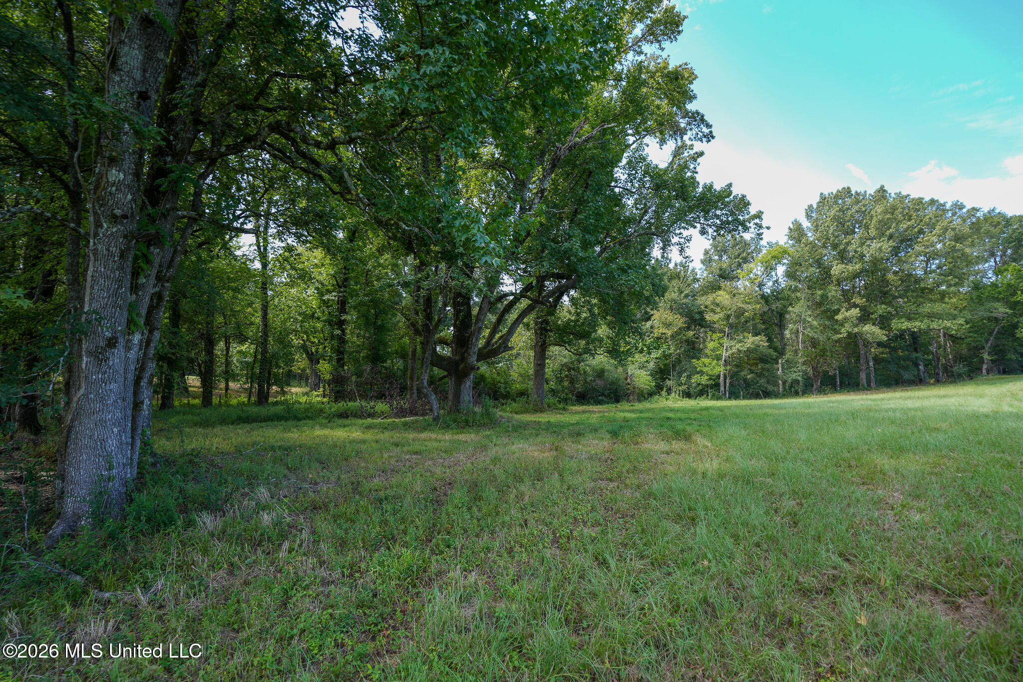 Grand Oaks Way Property Photo 4