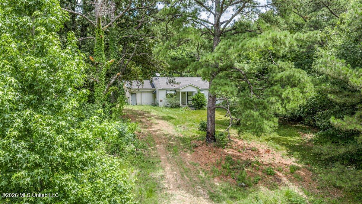 5317 Highway 3 Property Photo 4
