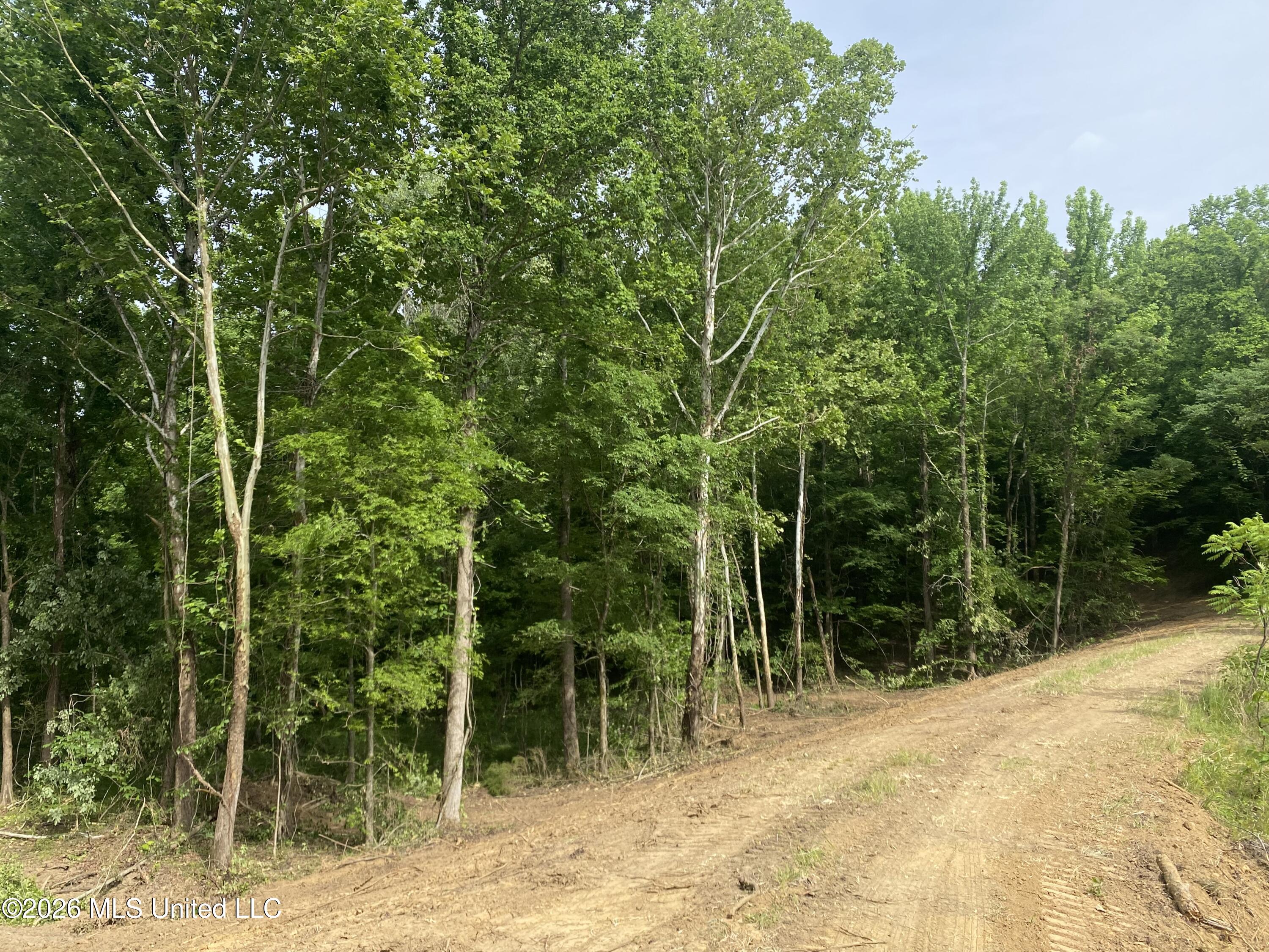 5317 Highway 3 Property Photo 6