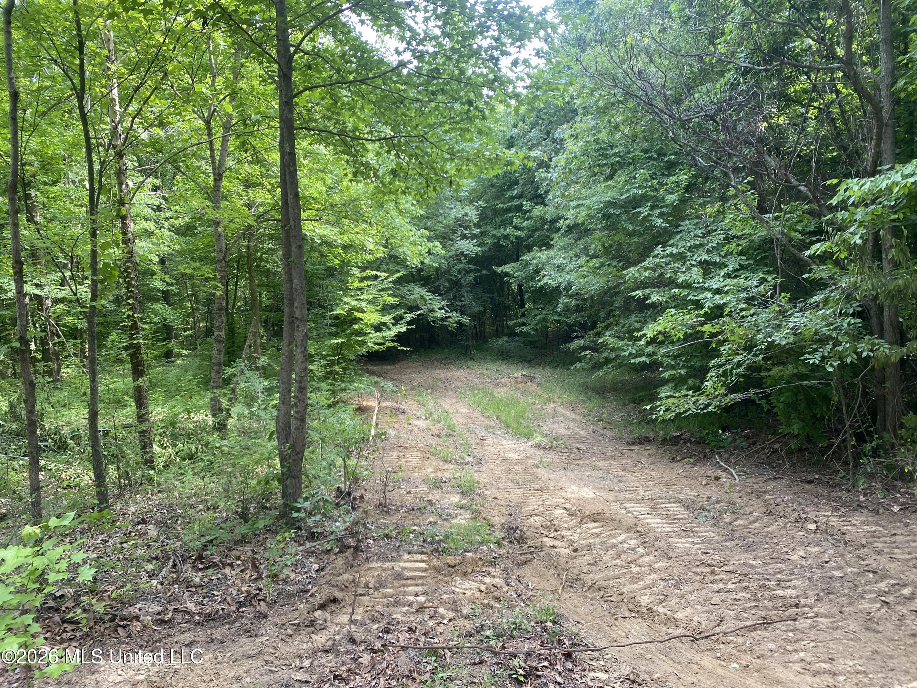 5317 Highway 3 Property Photo 7