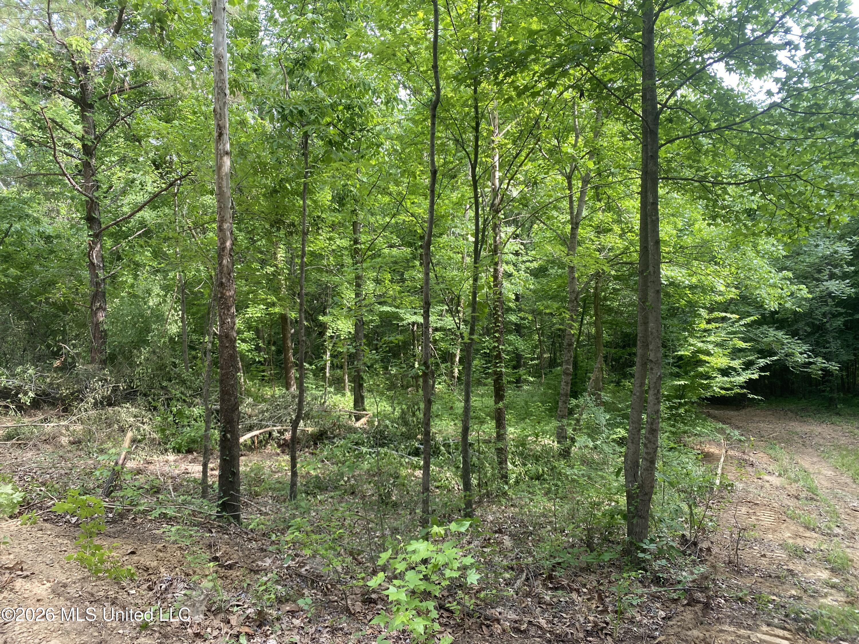 5317 Highway 3 Property Photo 8