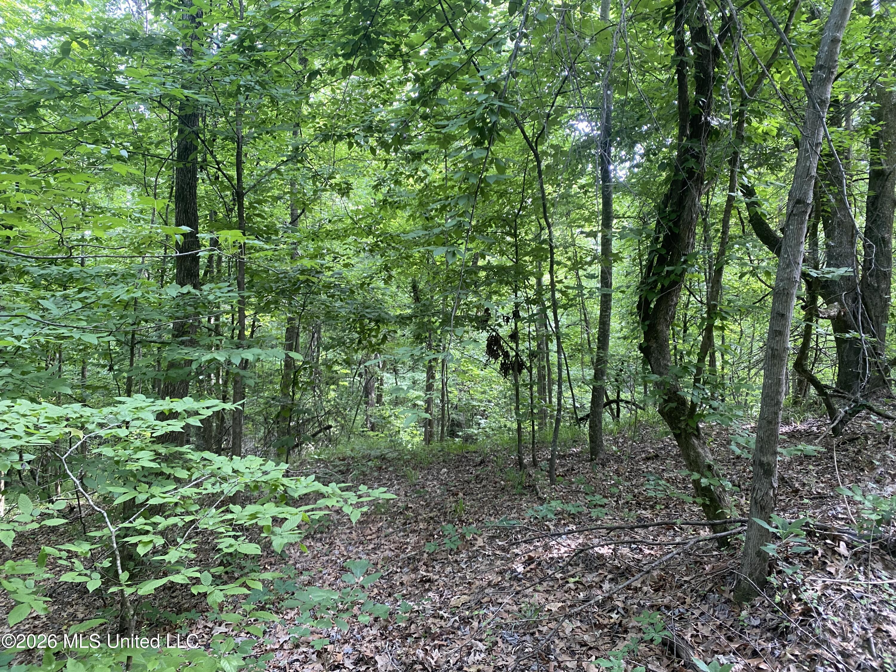 5317 Highway 3 Property Photo 9
