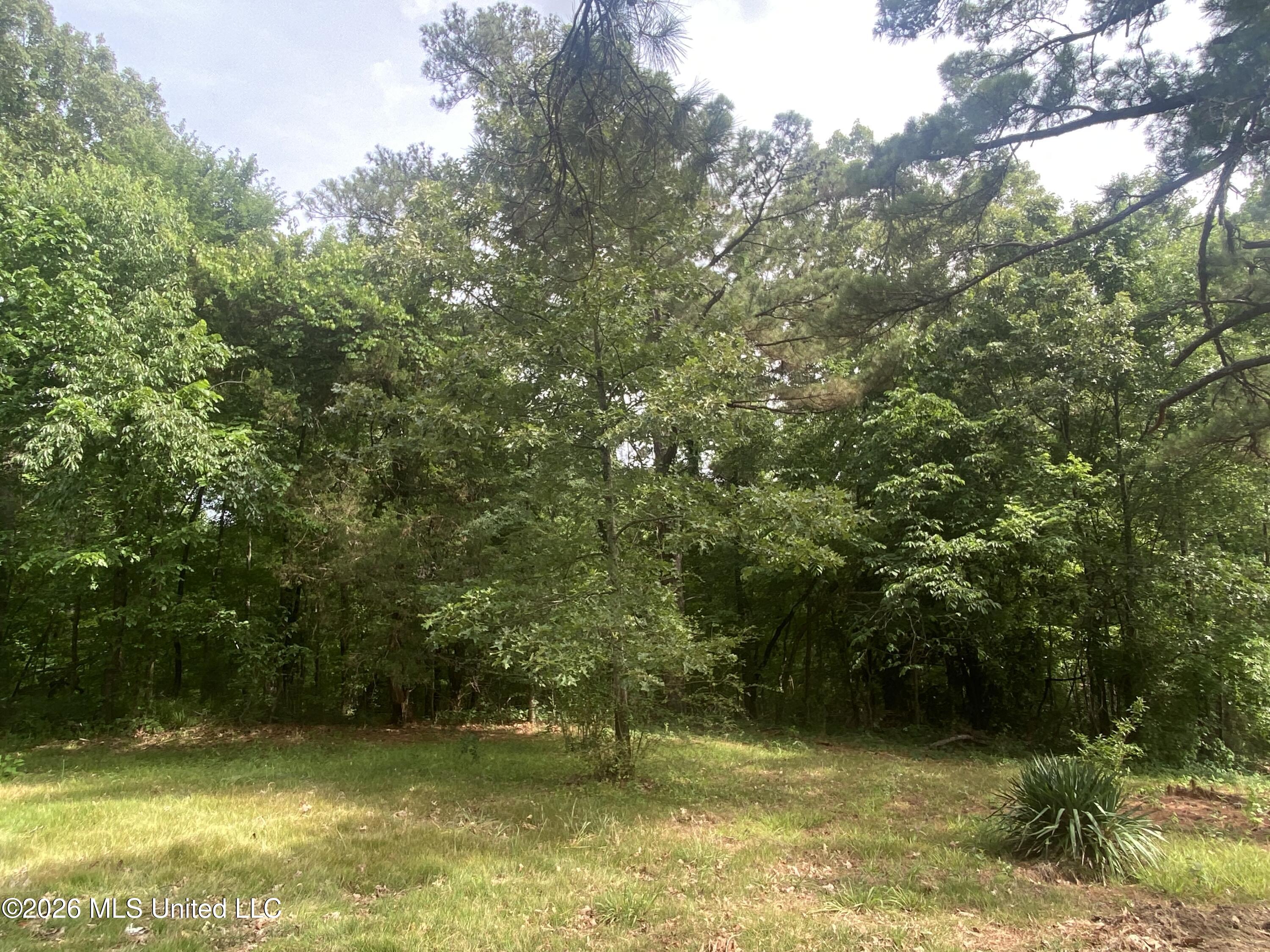 5317 Highway 3 Property Photo 10