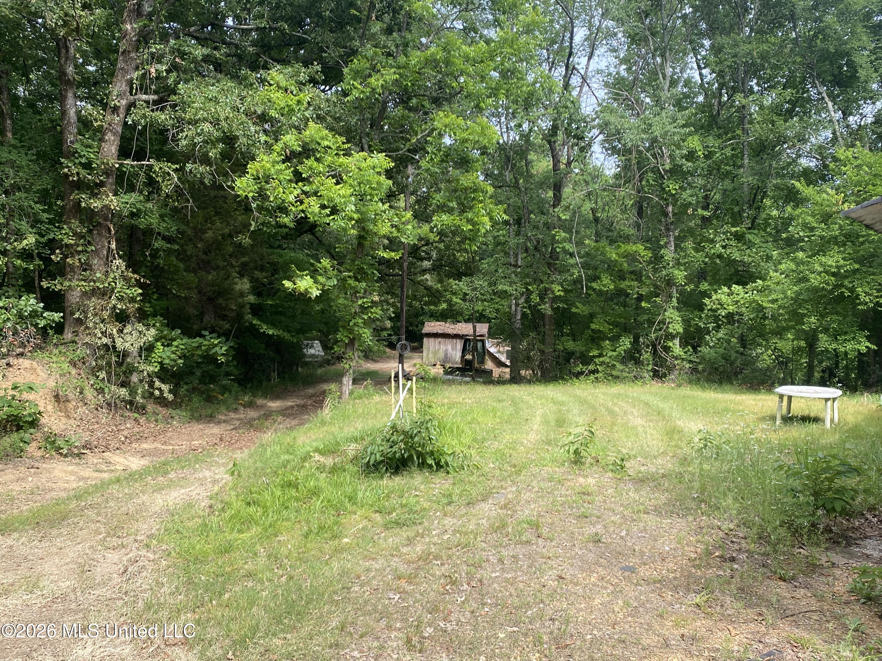5317 Highway 3 Property Photo 12