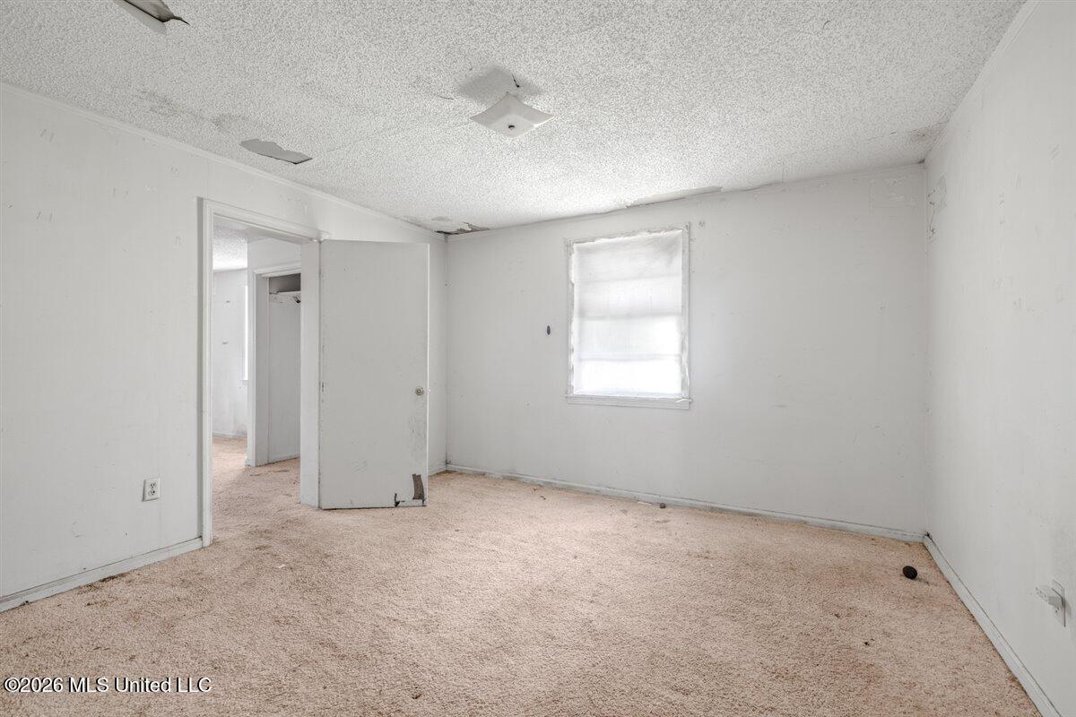 5317 Highway 3 Property Photo 23