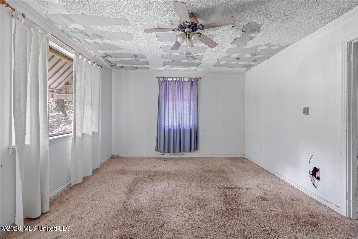 5317 Highway 3 Property Photo 24