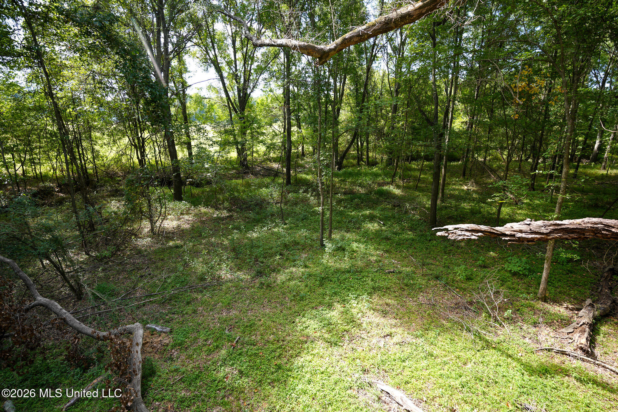 Fallen Oak Cove Property Photo 5