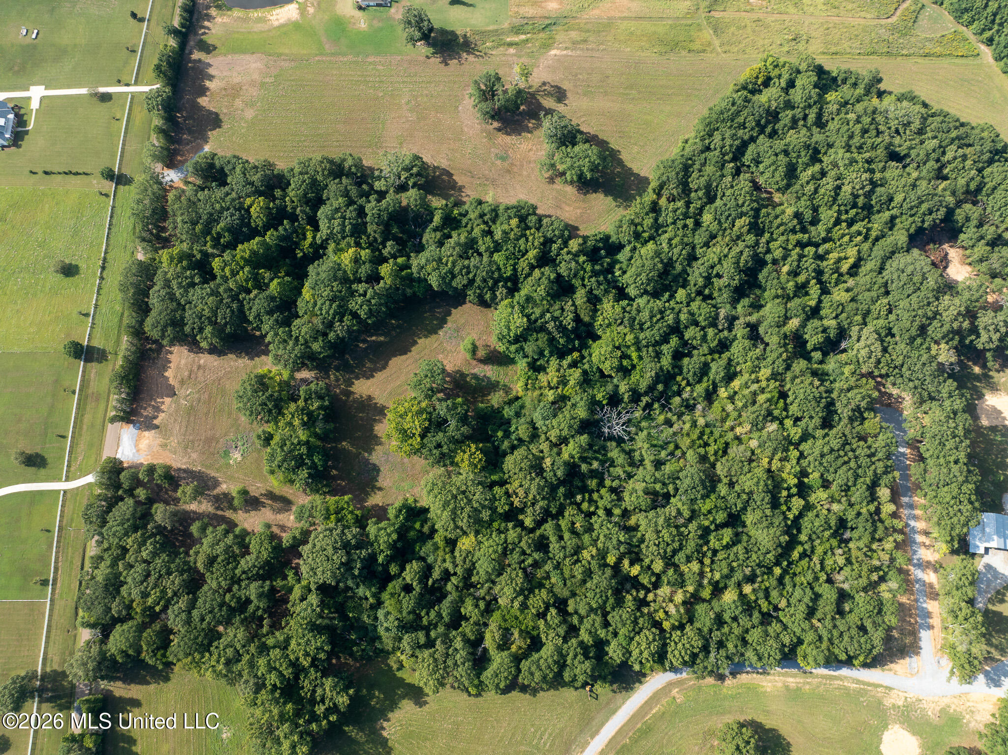 Fallen Oak Cove Property Photo 8