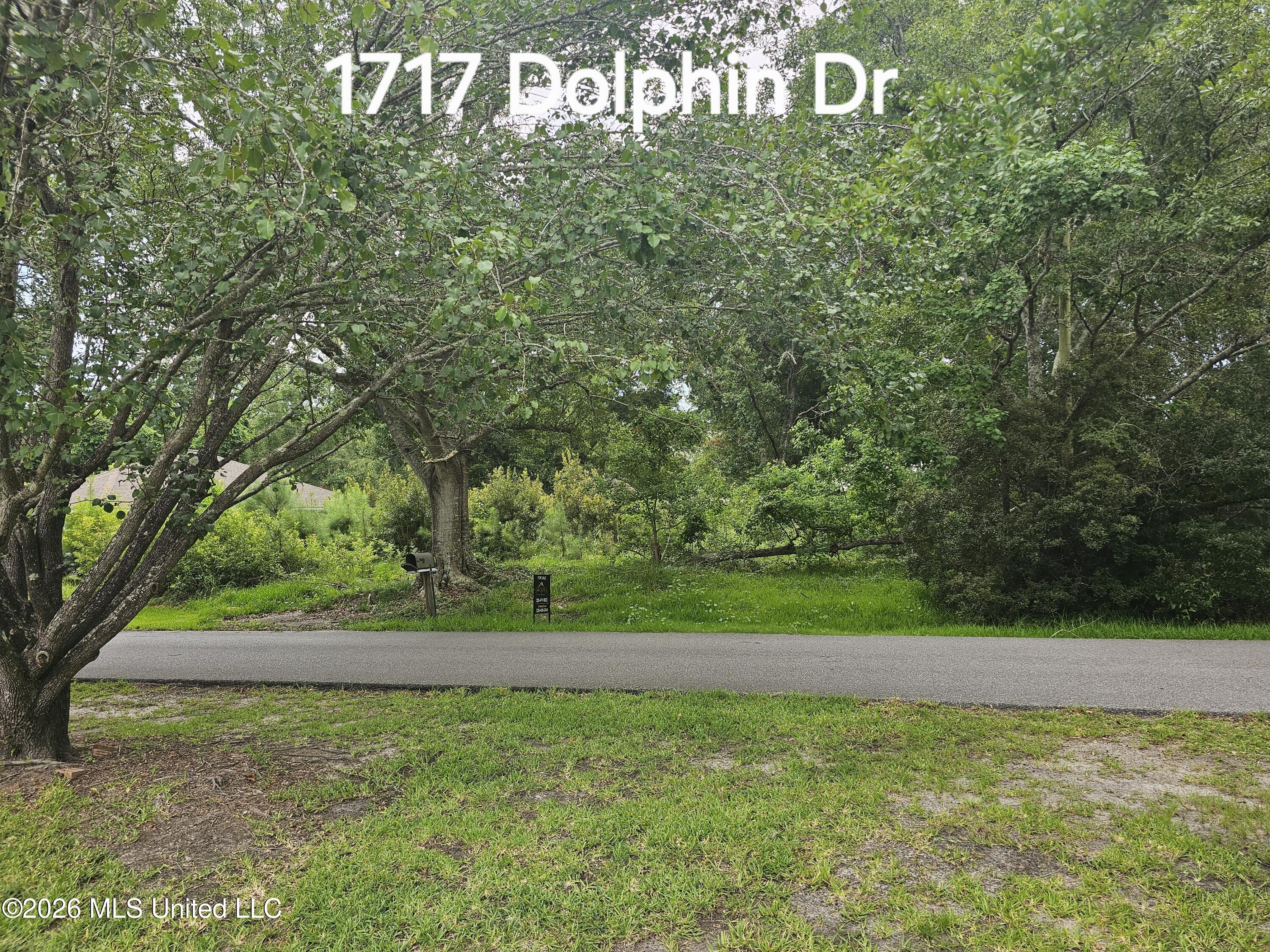1717 Dolphin Drive Property Photo 1