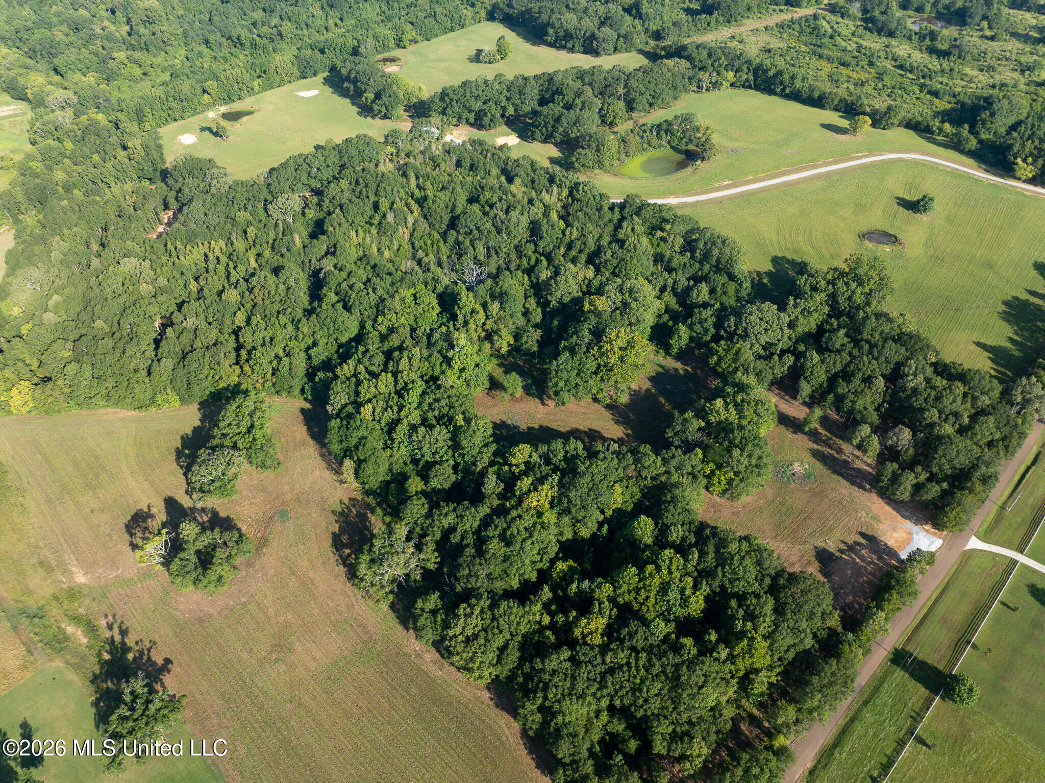 Fallen Oak Cove Property Photo 4