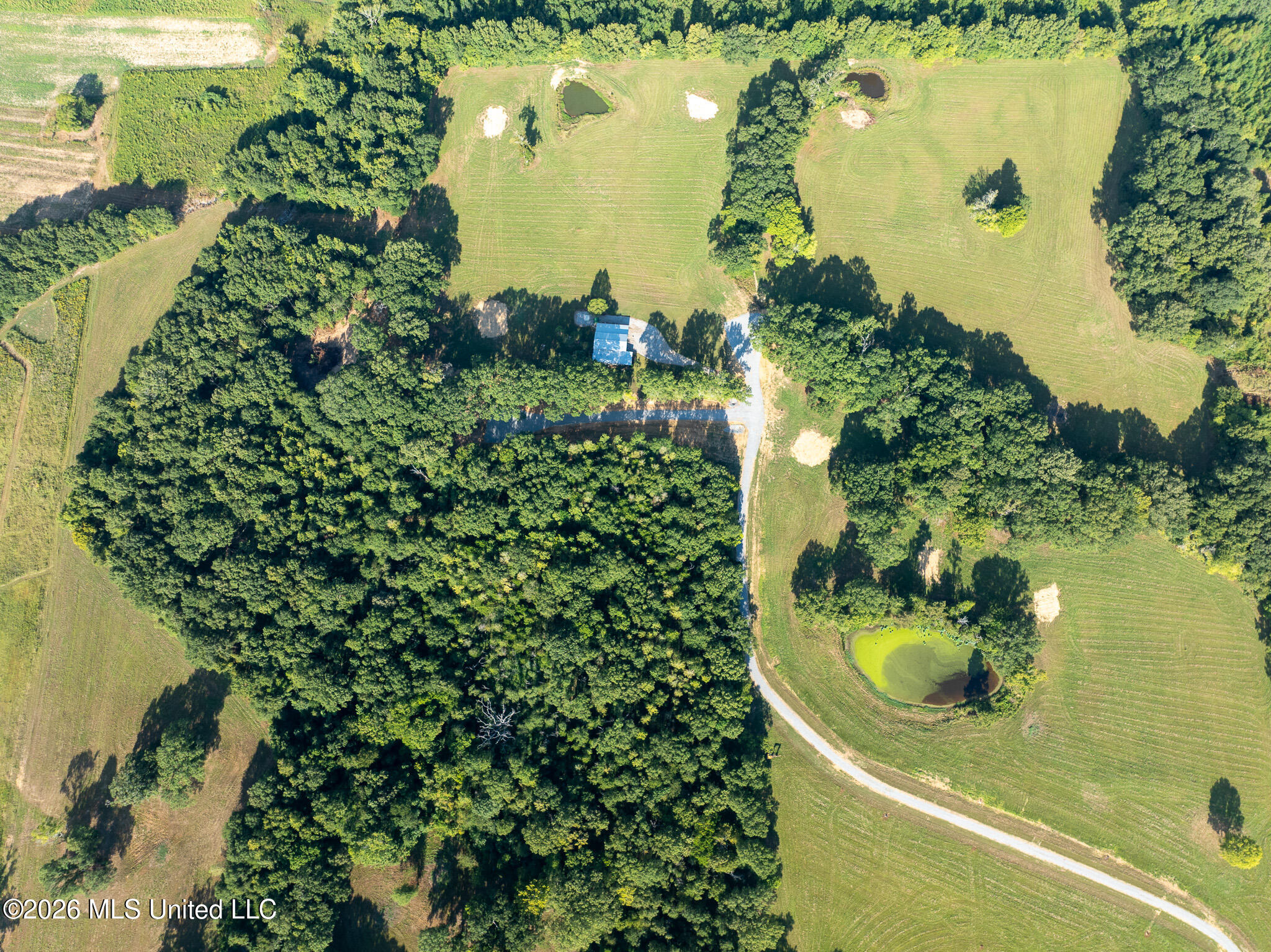 Fallen Oak Cove Property Photo 6