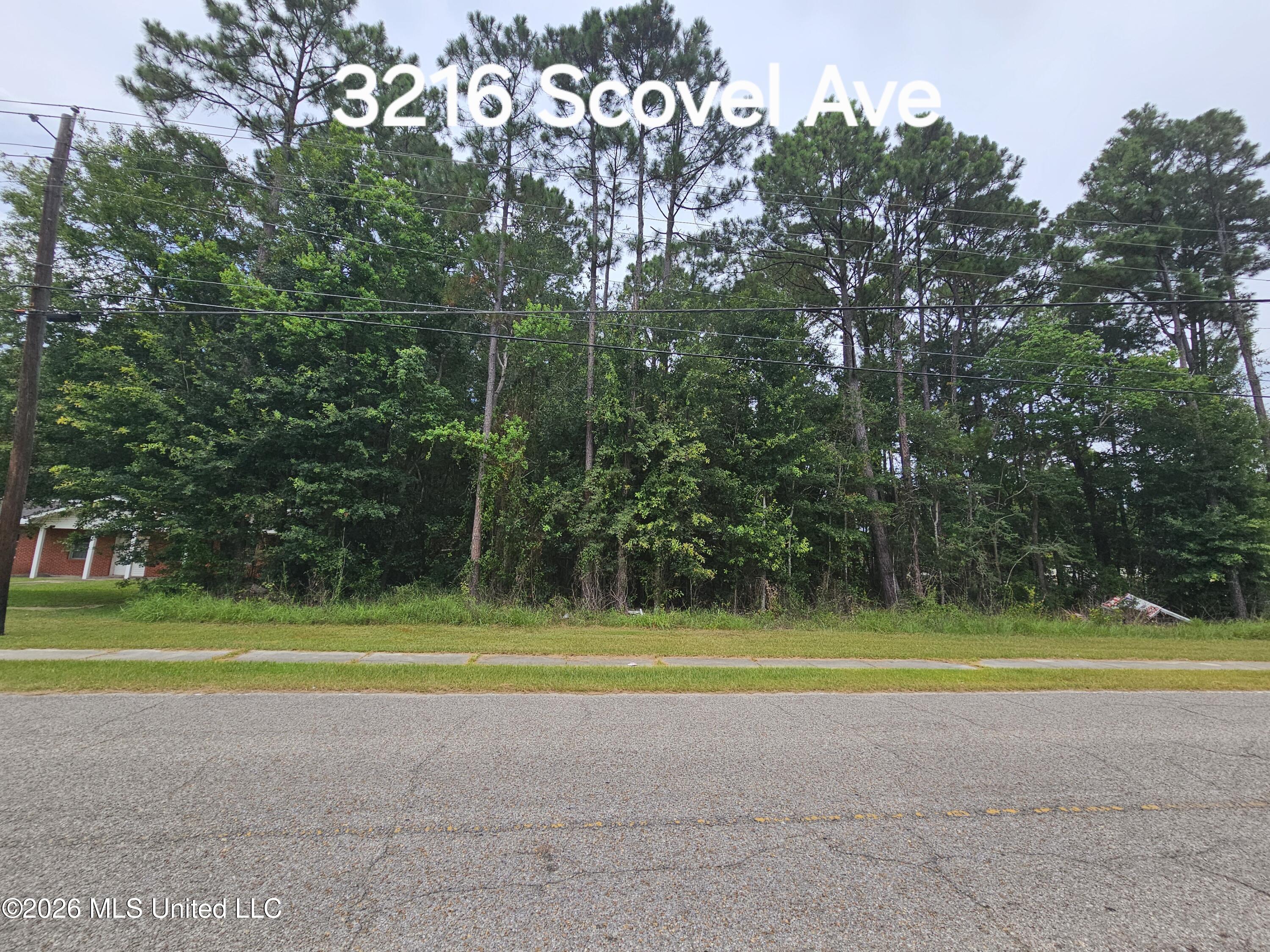 3216 Scovel Avenue Property Photo 1