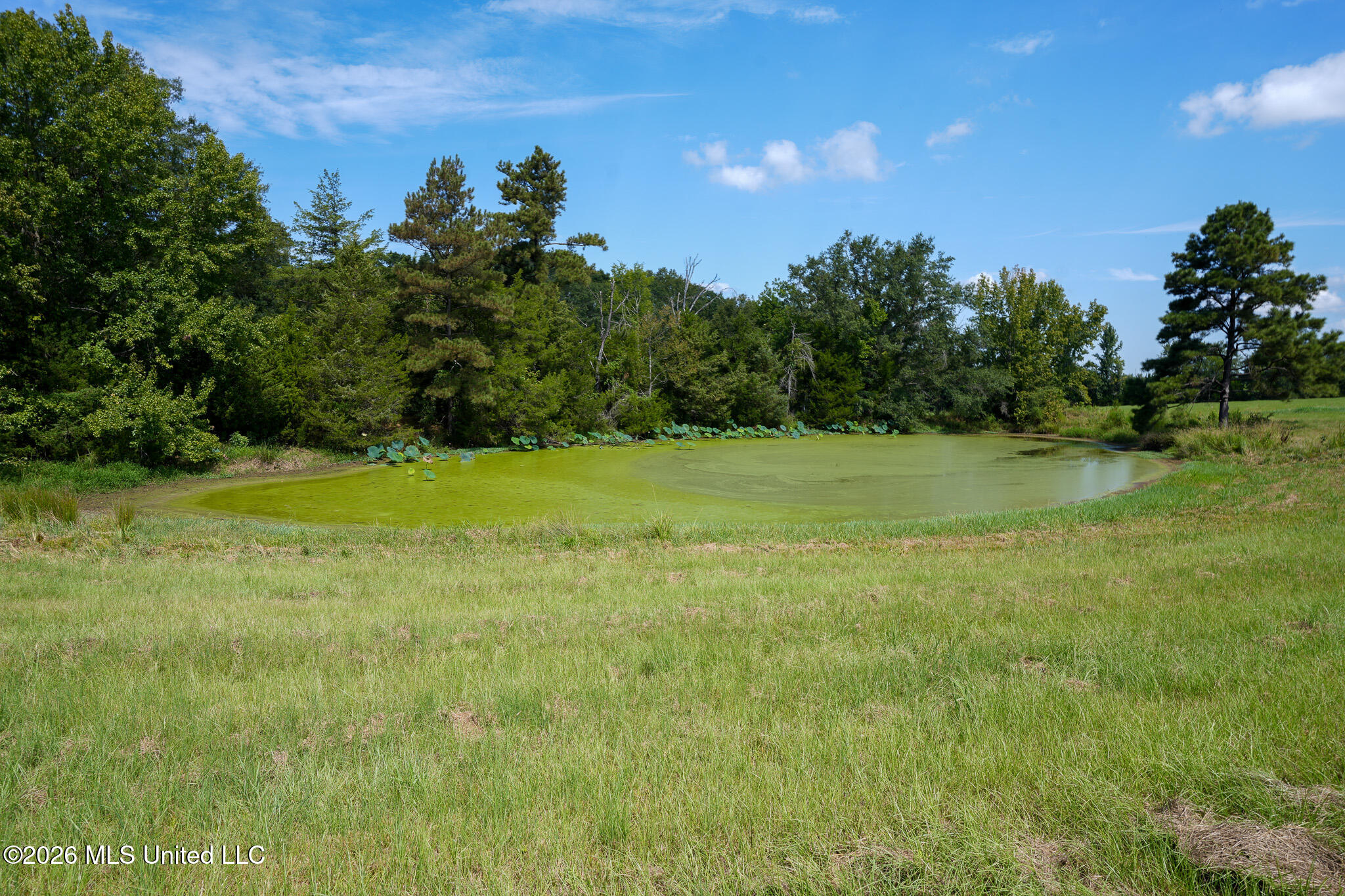 Grand Oaks Way Property Photo 3
