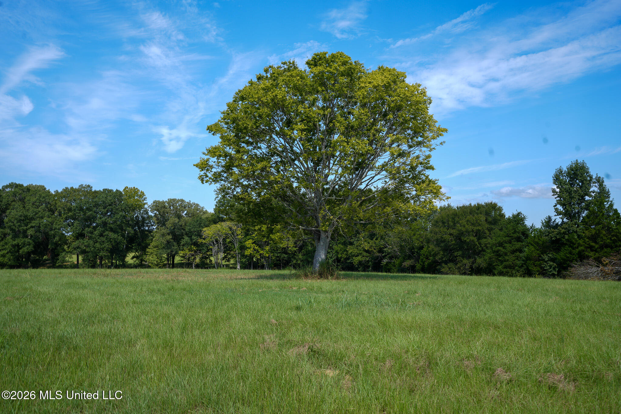 Grand Oaks Way Property Photo 4