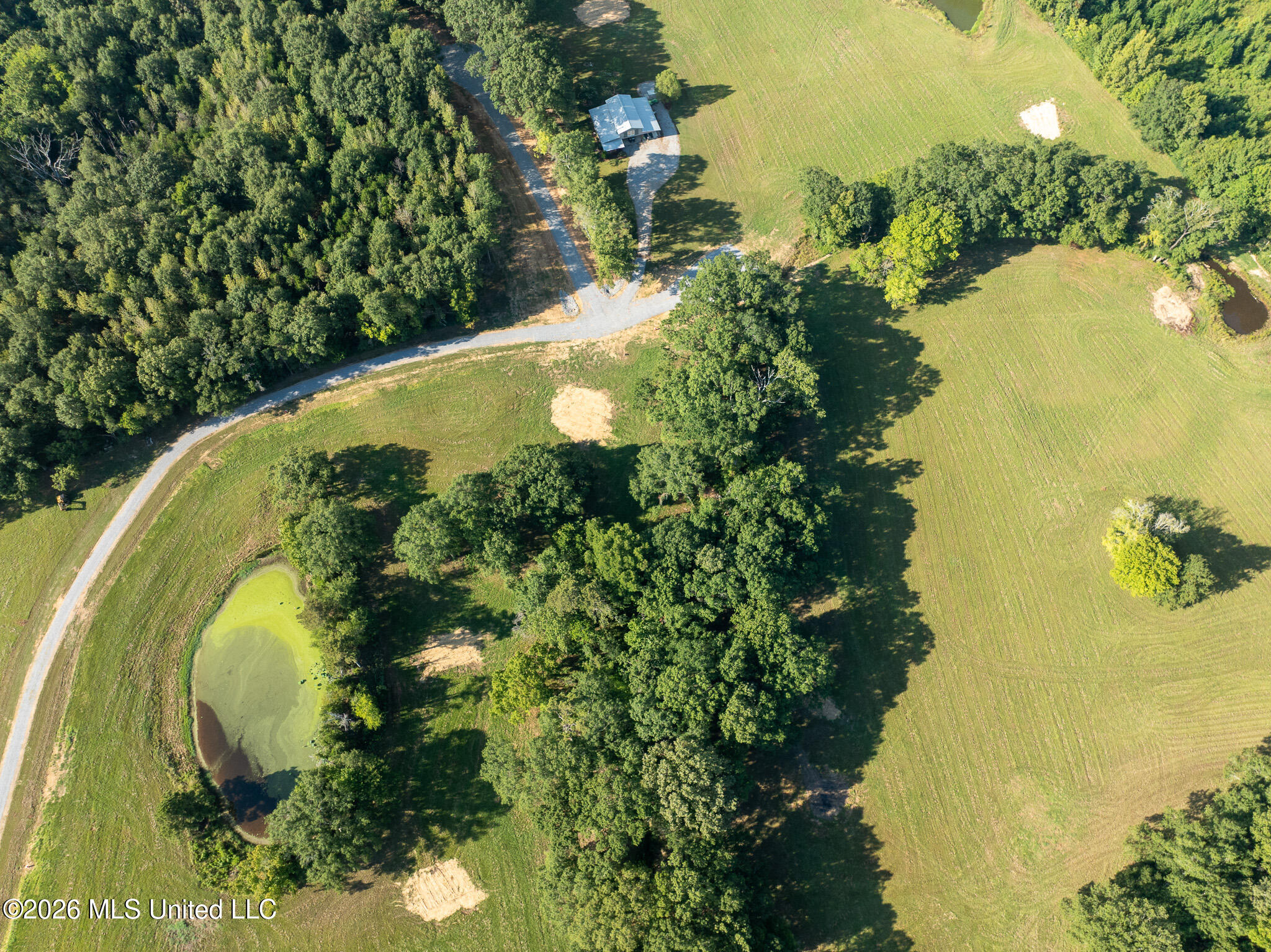 Grand Oaks Way Property Photo 7