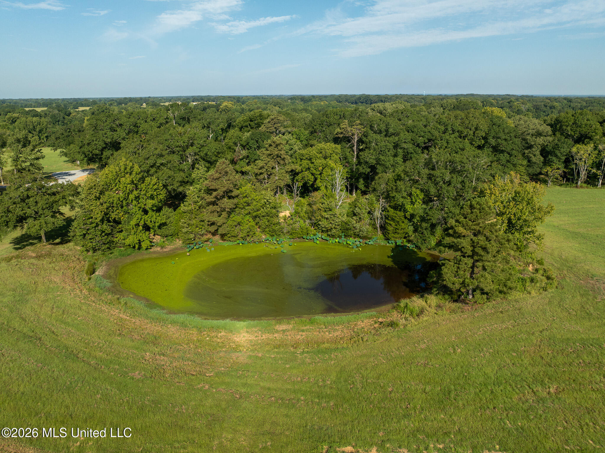 Grand Oaks Way Property Photo 9