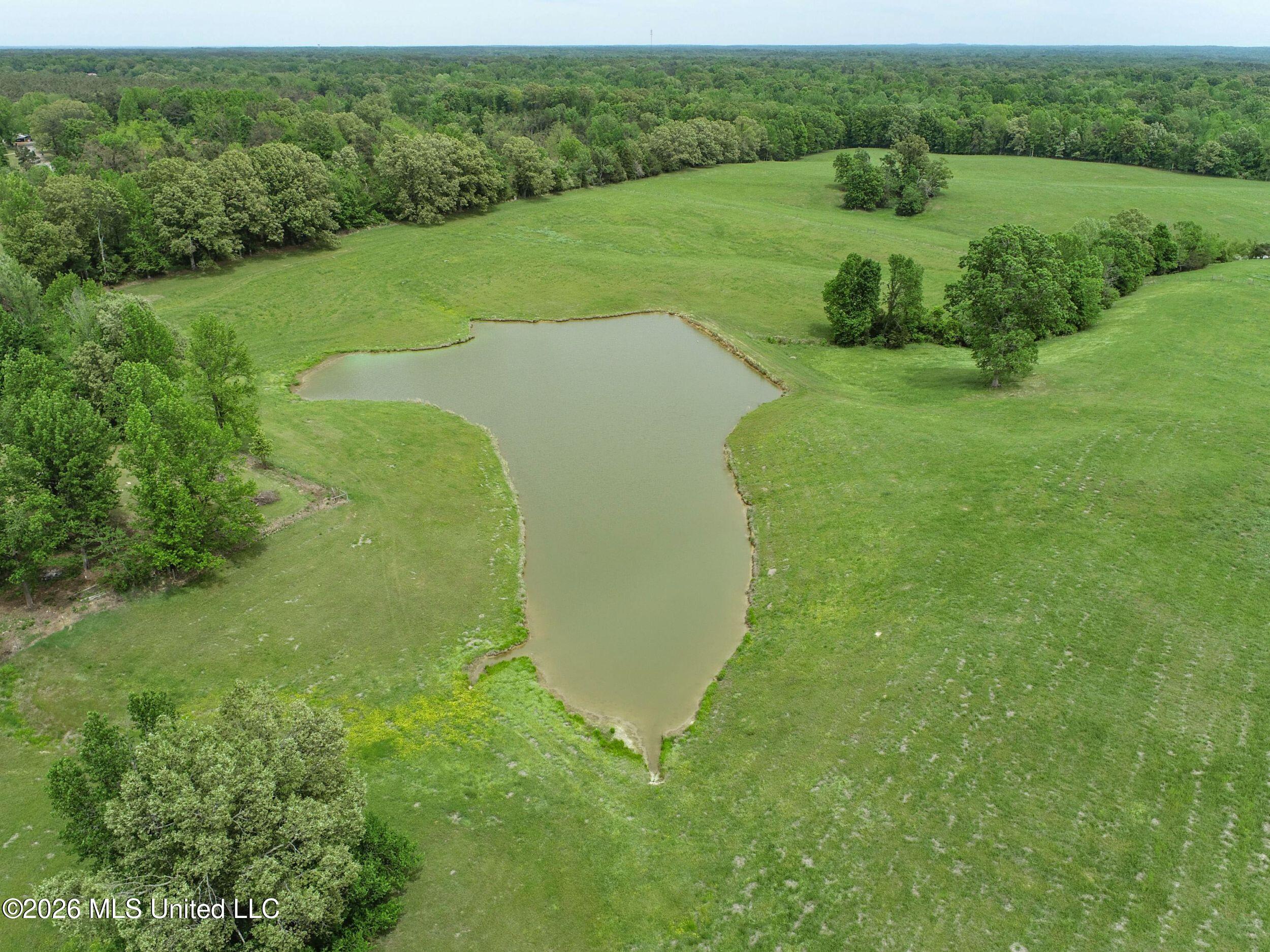 116 Hawkins Road Property Photo 14