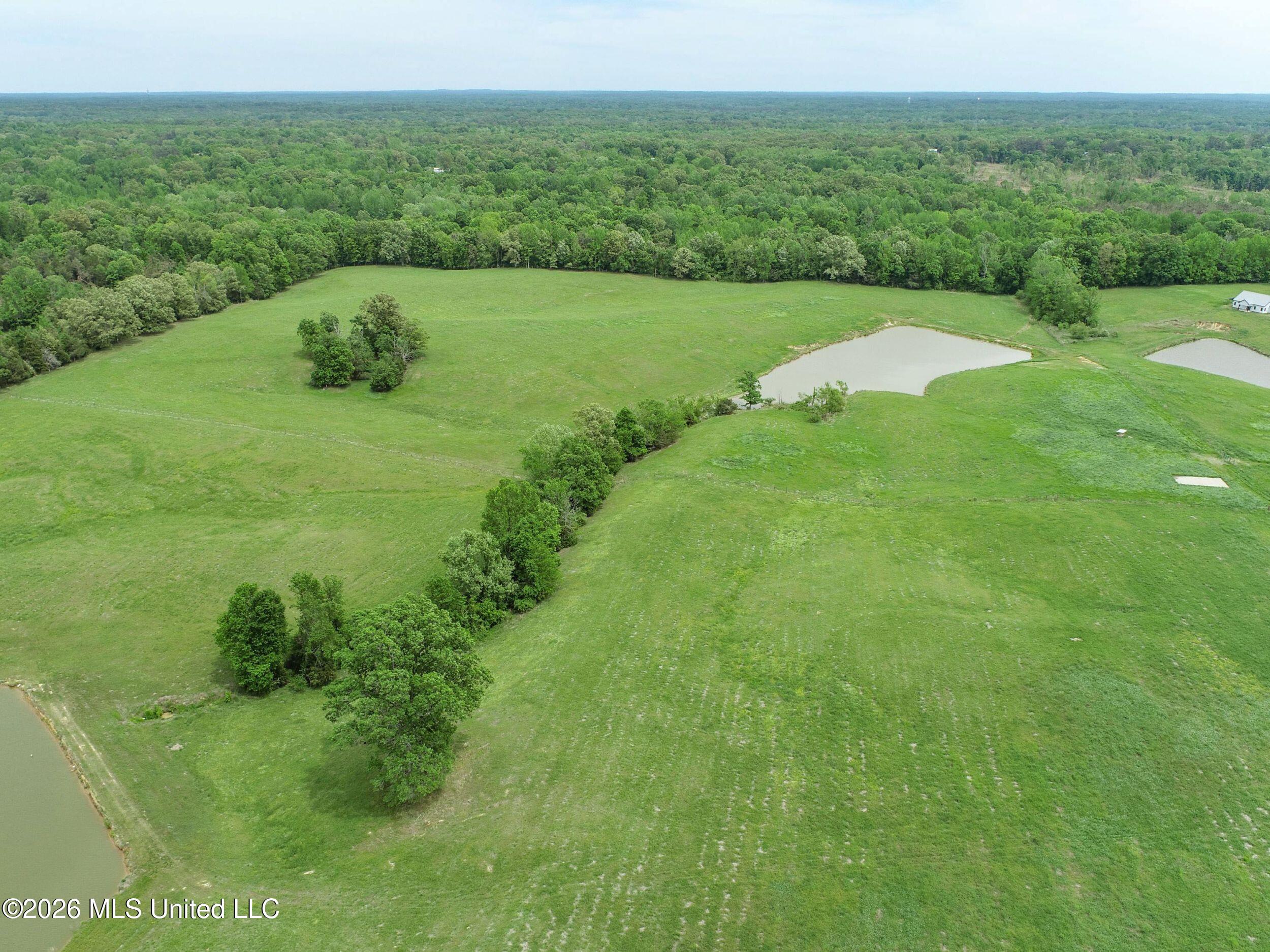 116 Hawkins Road Property Photo 15