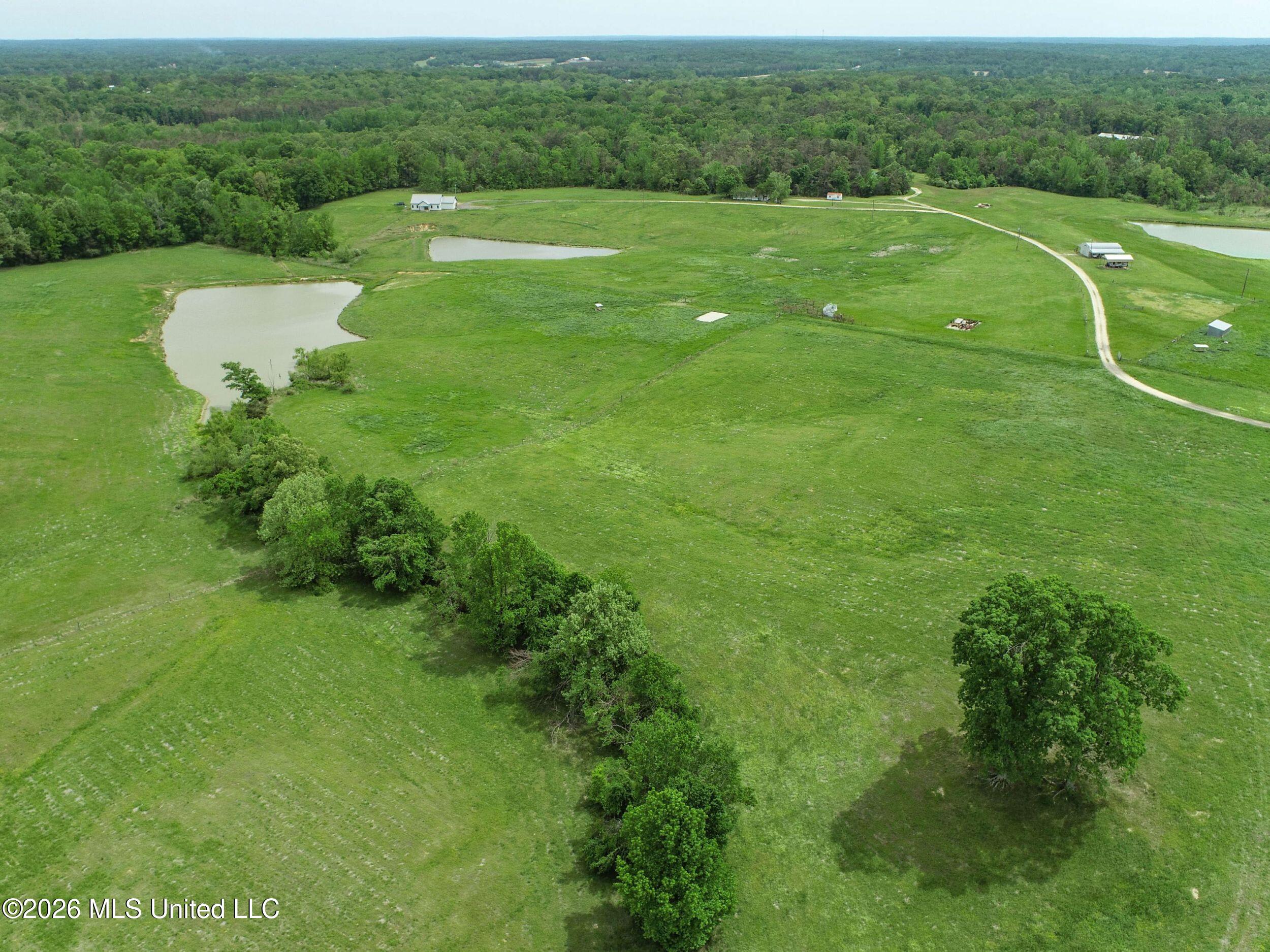 116 Hawkins Road Property Photo 16