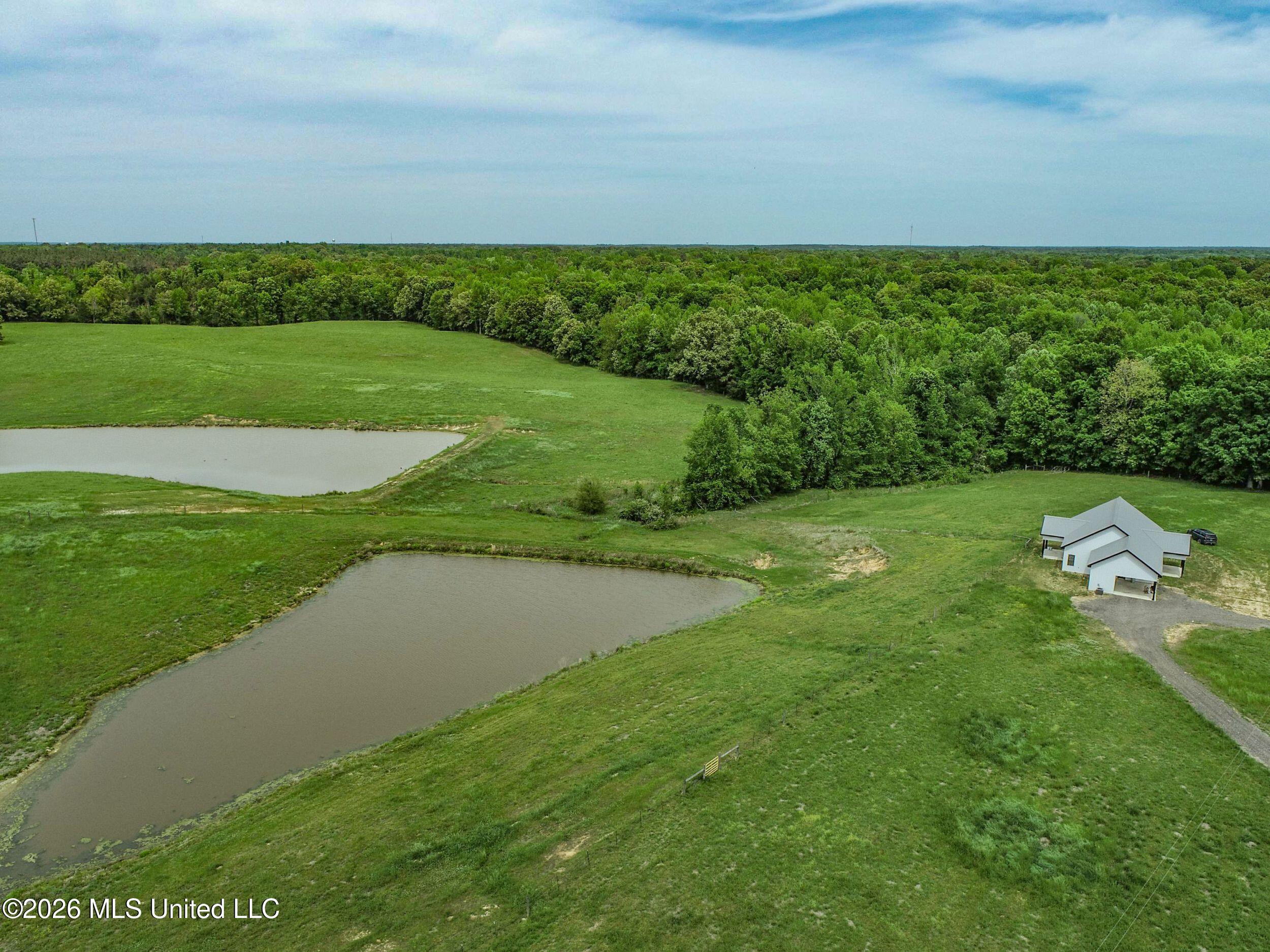 116 Hawkins Road Property Photo 17