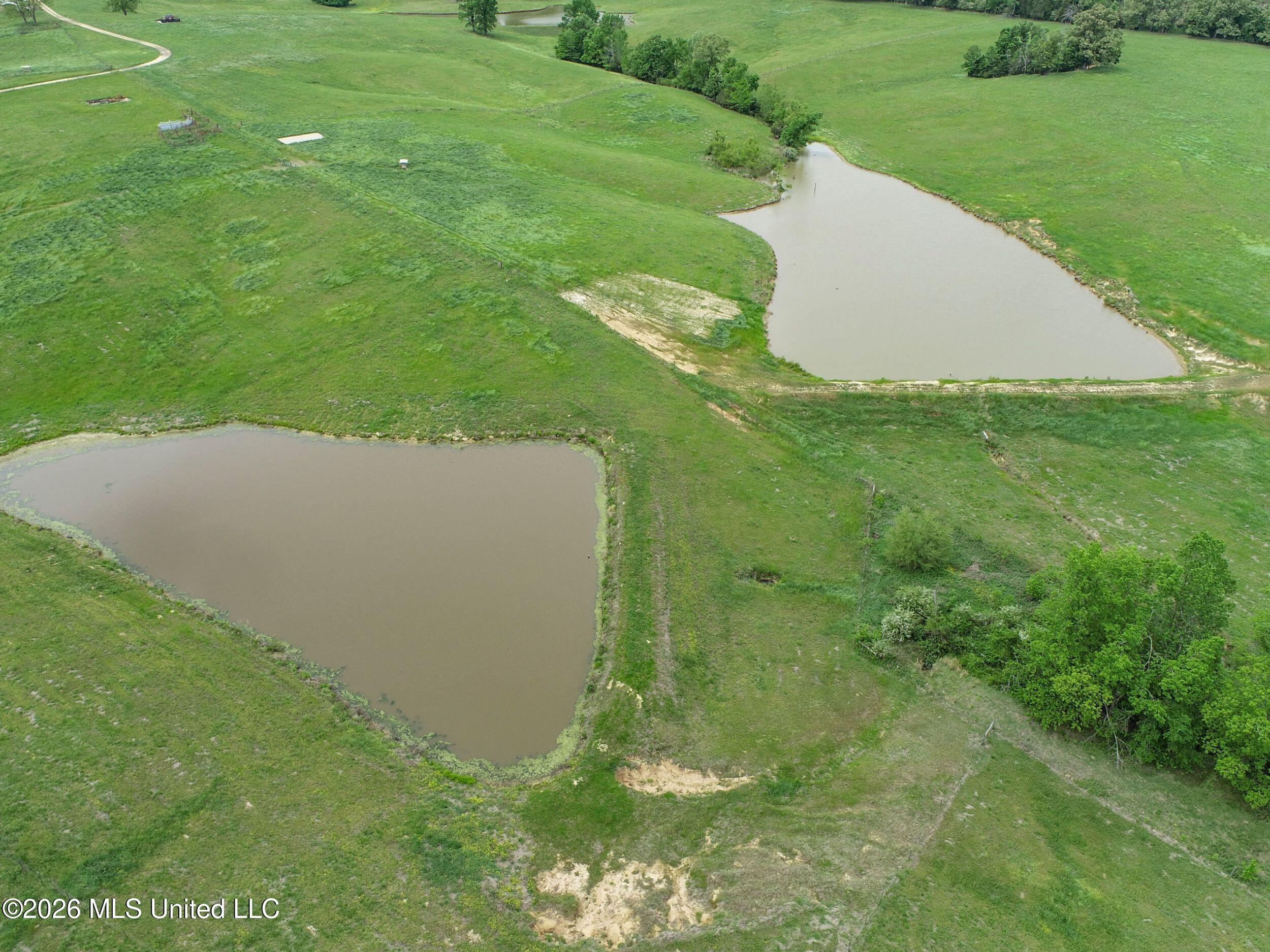 116 Hawkins Road Property Photo 29