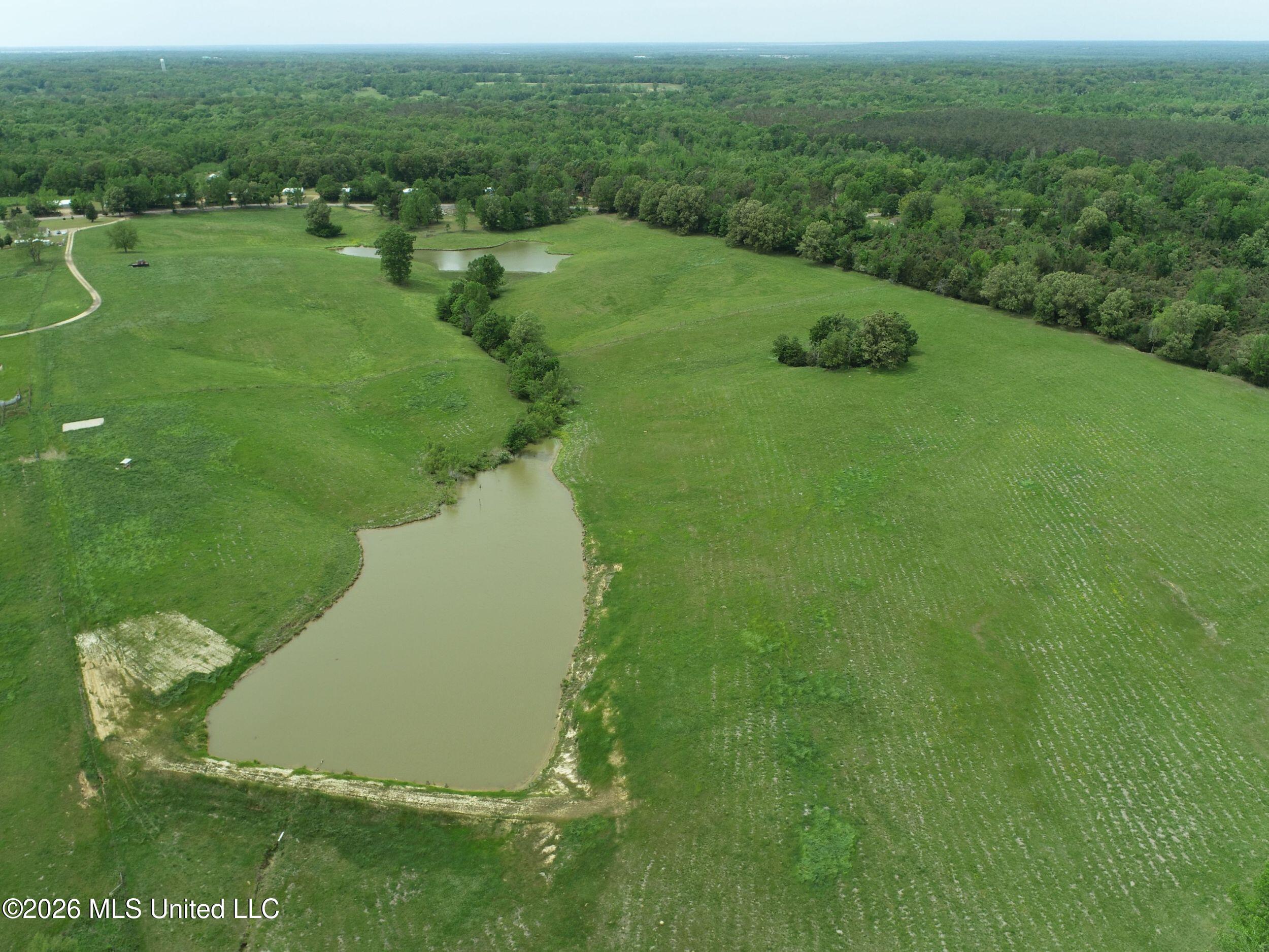 116 Hawkins Road Property Photo 30