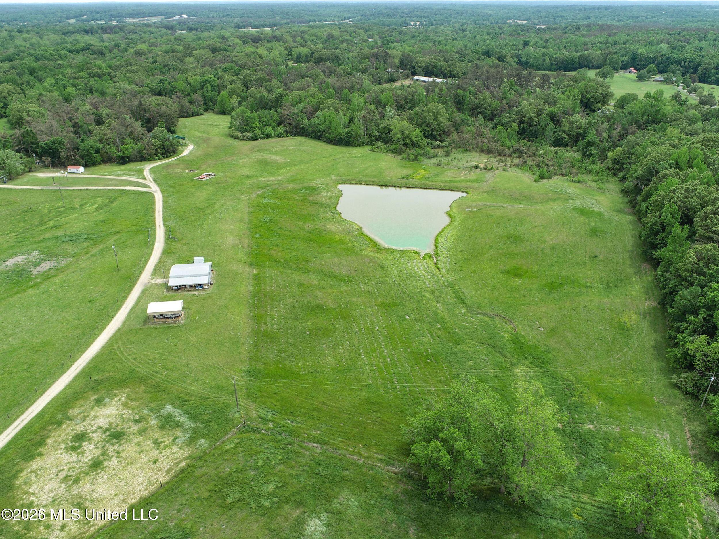 116 Hawkins Road Property Photo 31