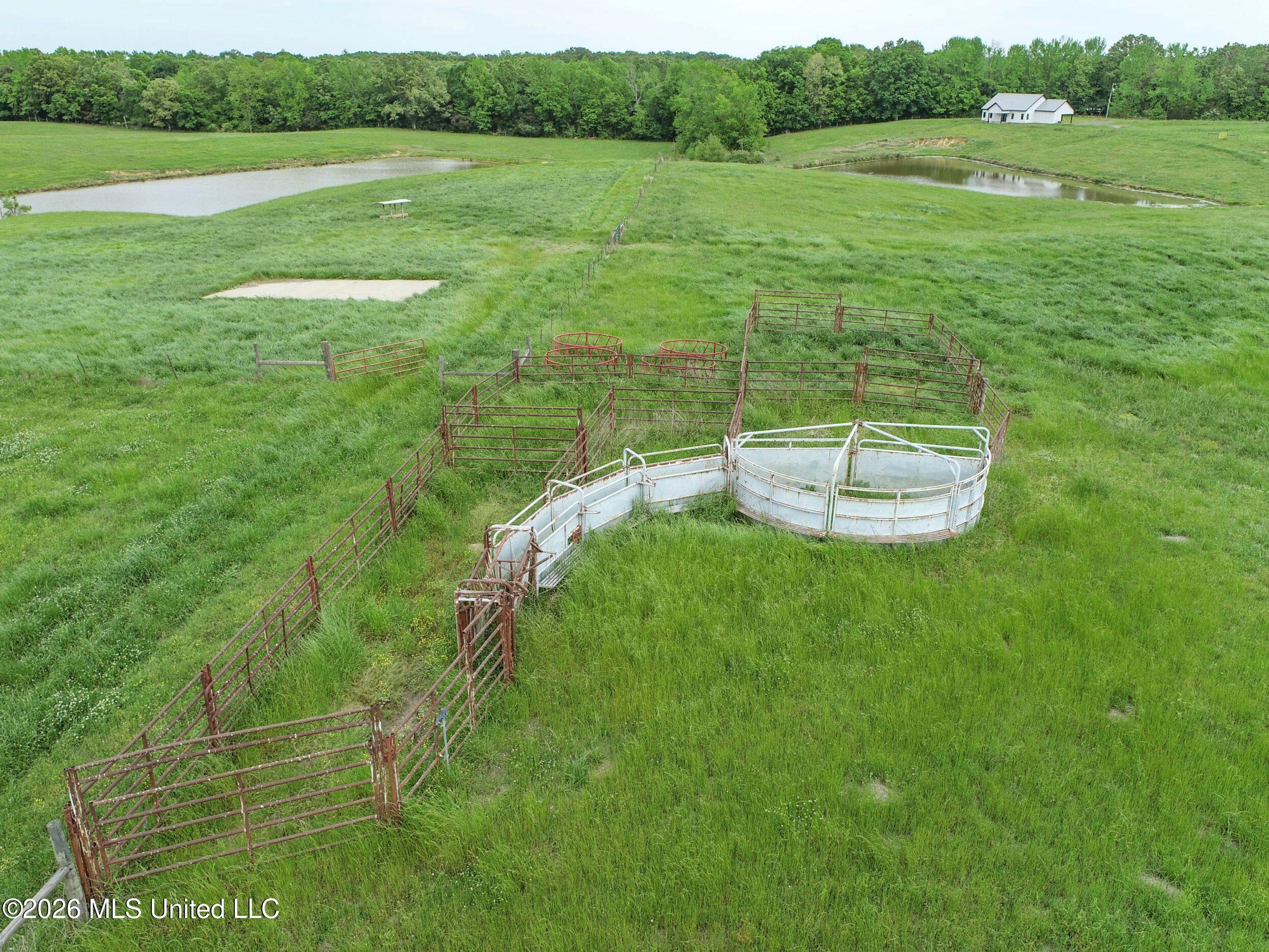 116 Hawkins Road Property Photo 50
