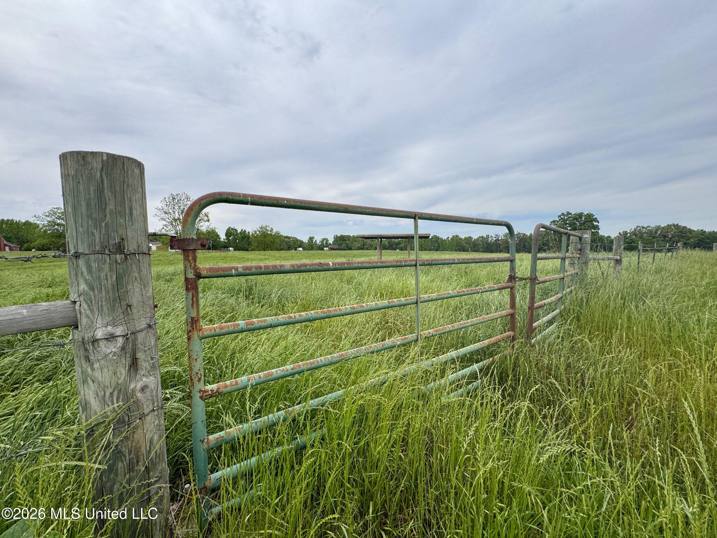 116 Hawkins Road Property Photo 189