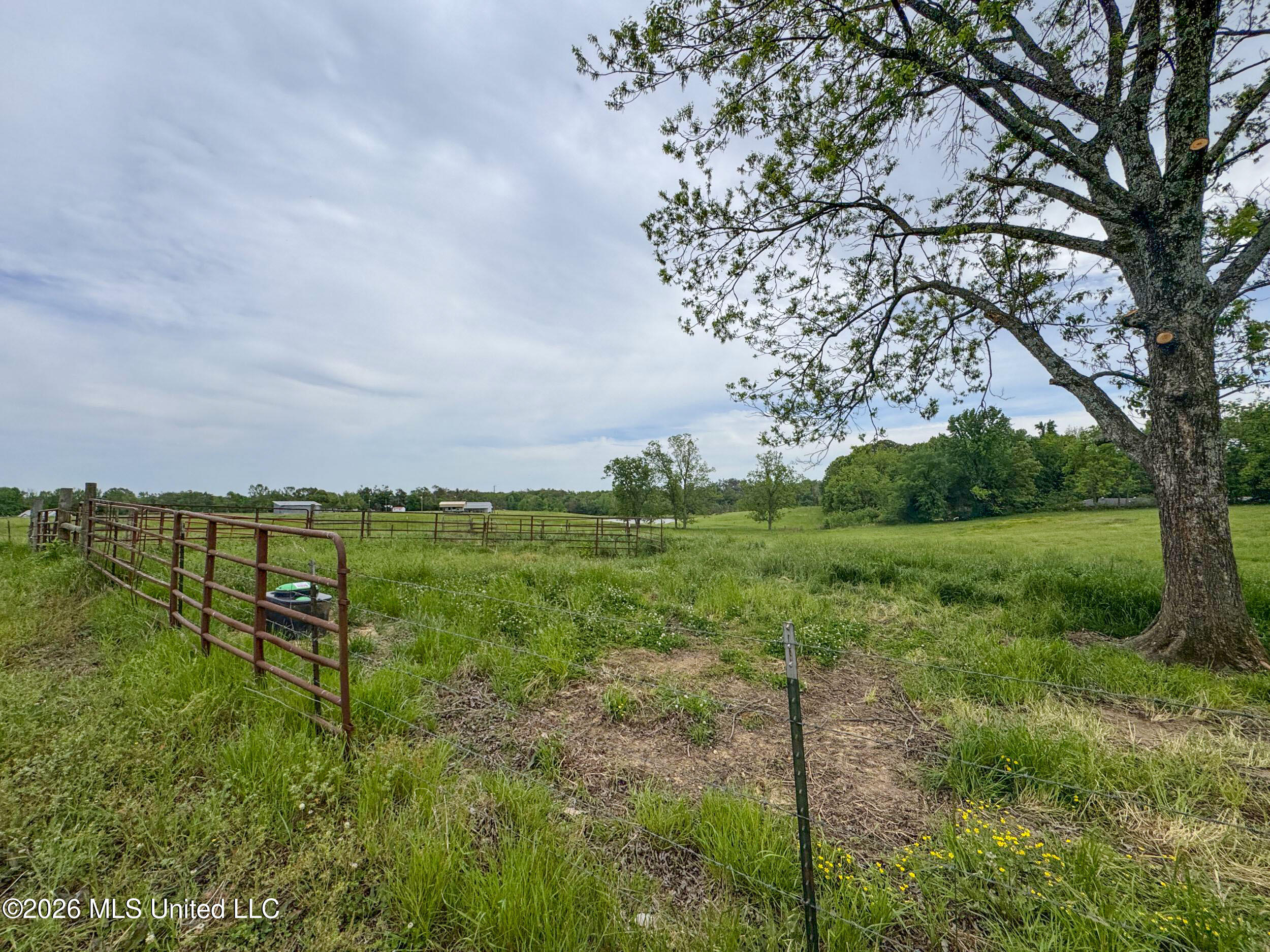 116 Hawkins Road Property Photo 193