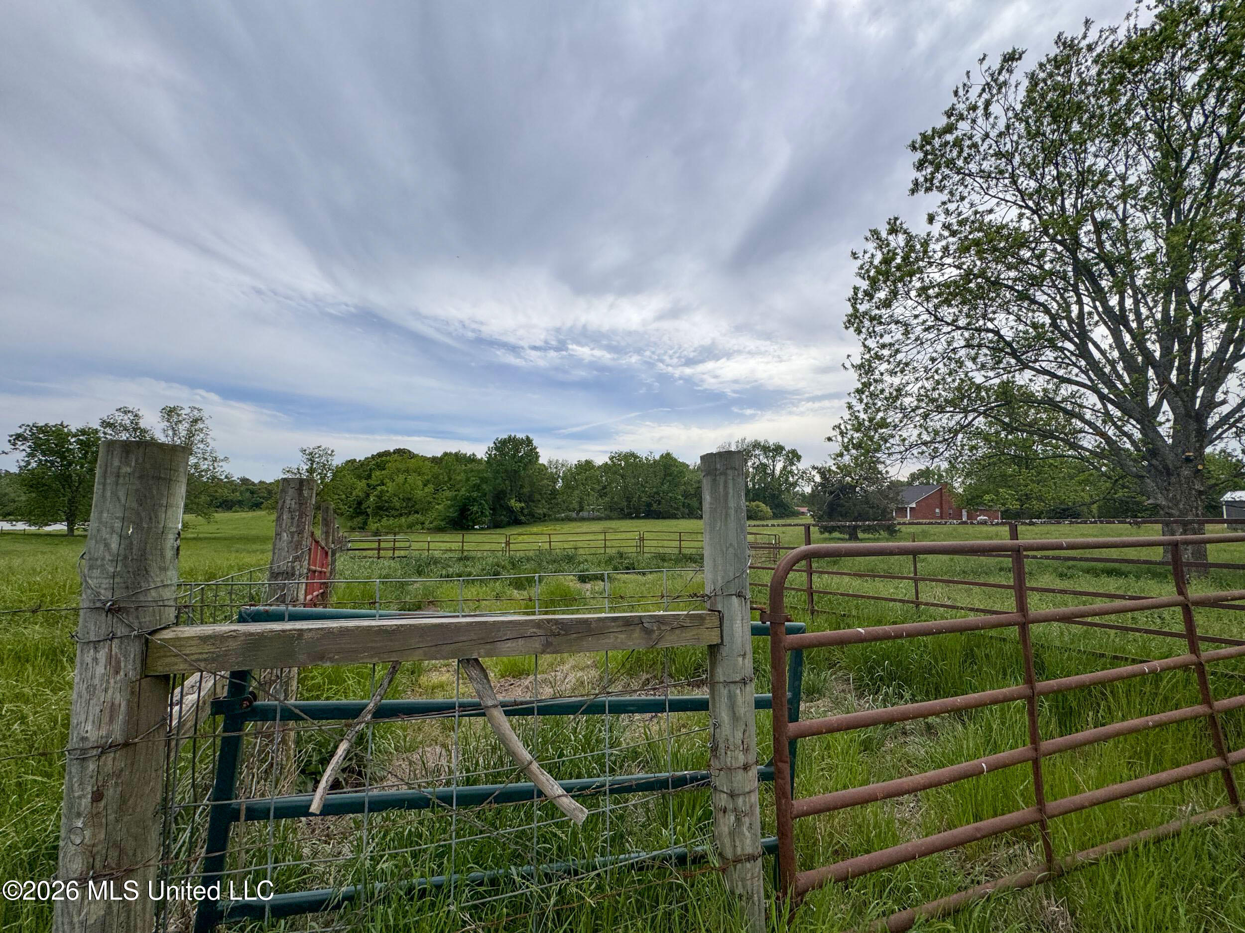116 Hawkins Road Property Photo 195