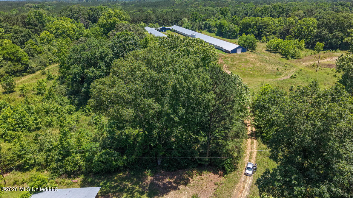 3037 Hickory Fellowship Road Property Photo 26