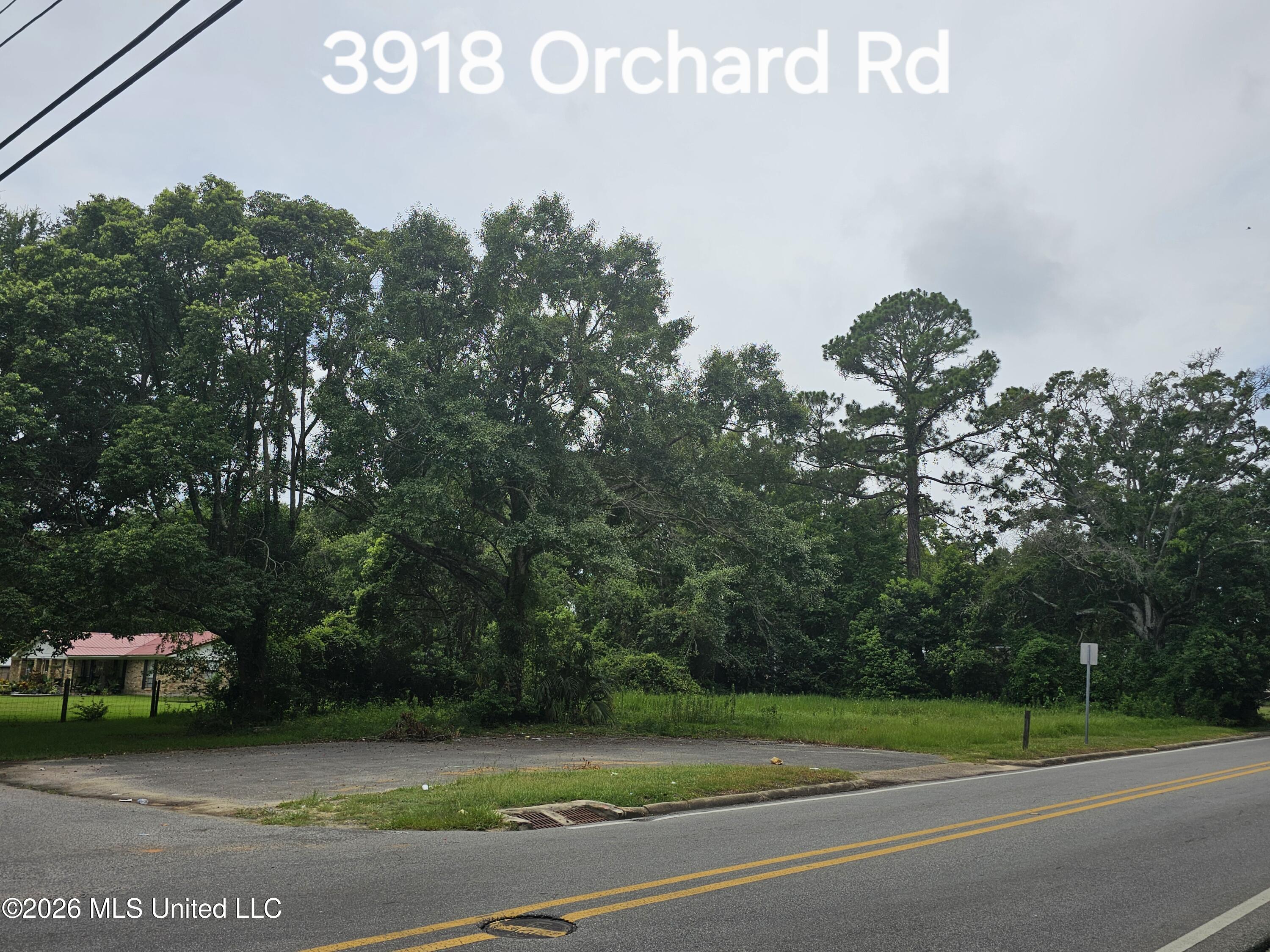 3918 Orchard Avenue Property Photo 3