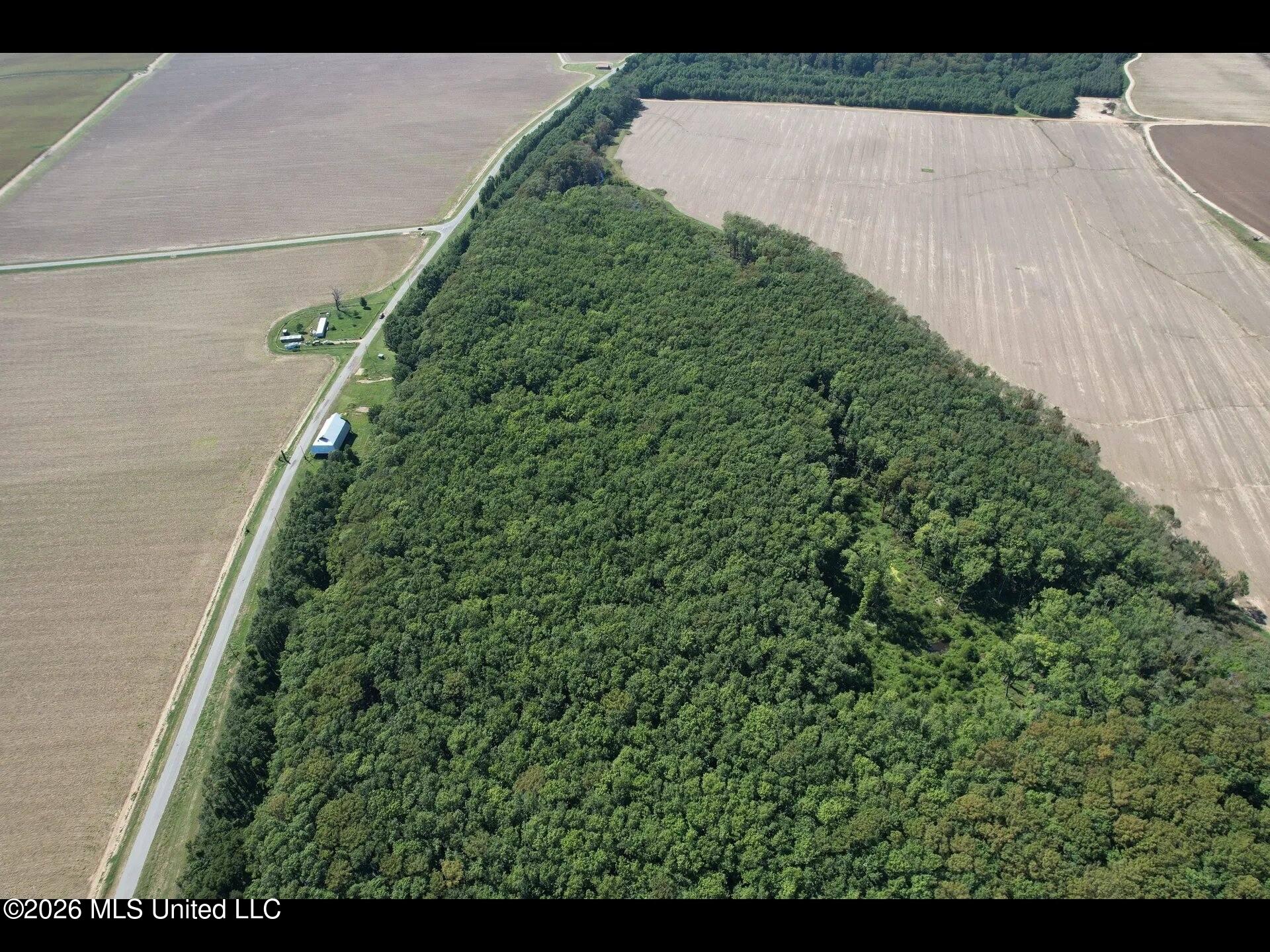 Co Rd 515 Property Photo 2