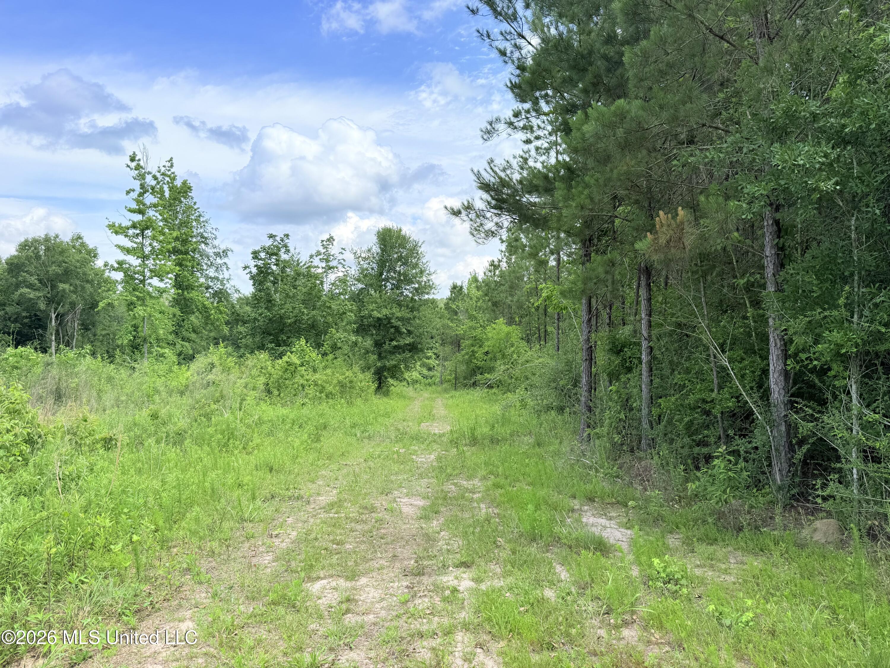Summit Drive Property Photo 3