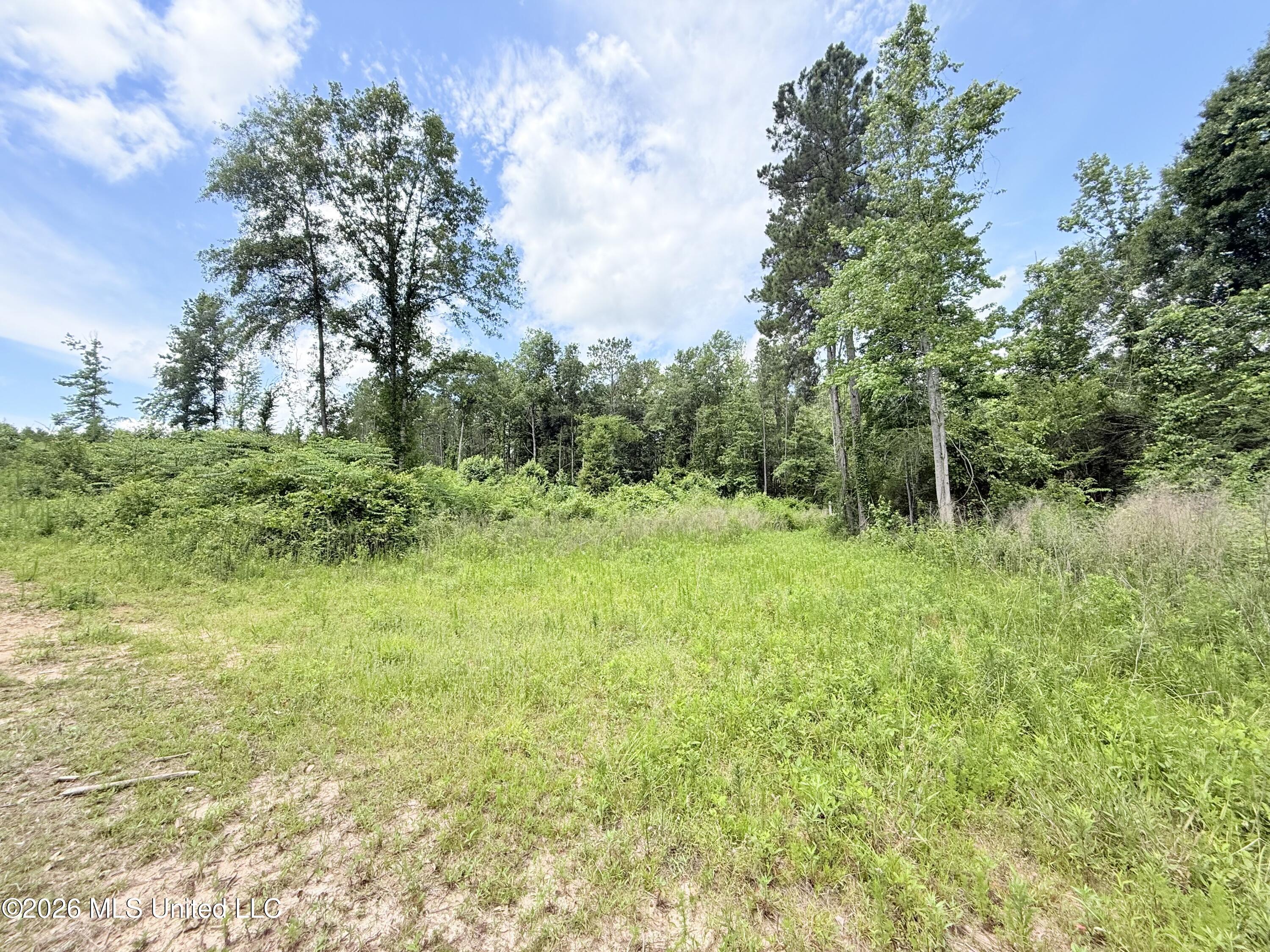 Summit Drive Property Photo 4