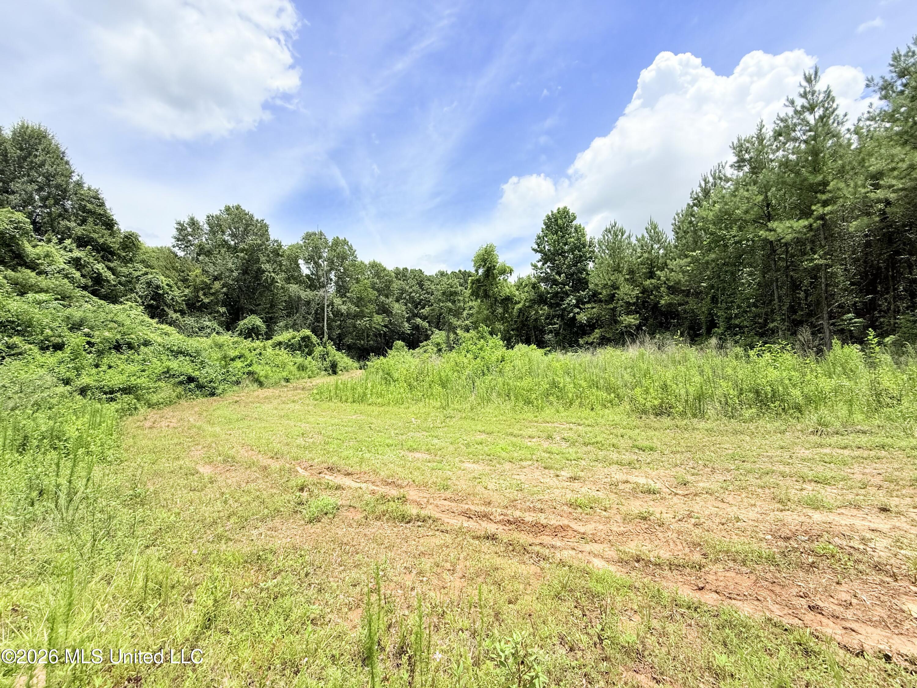 Summit Drive Property Photo 6