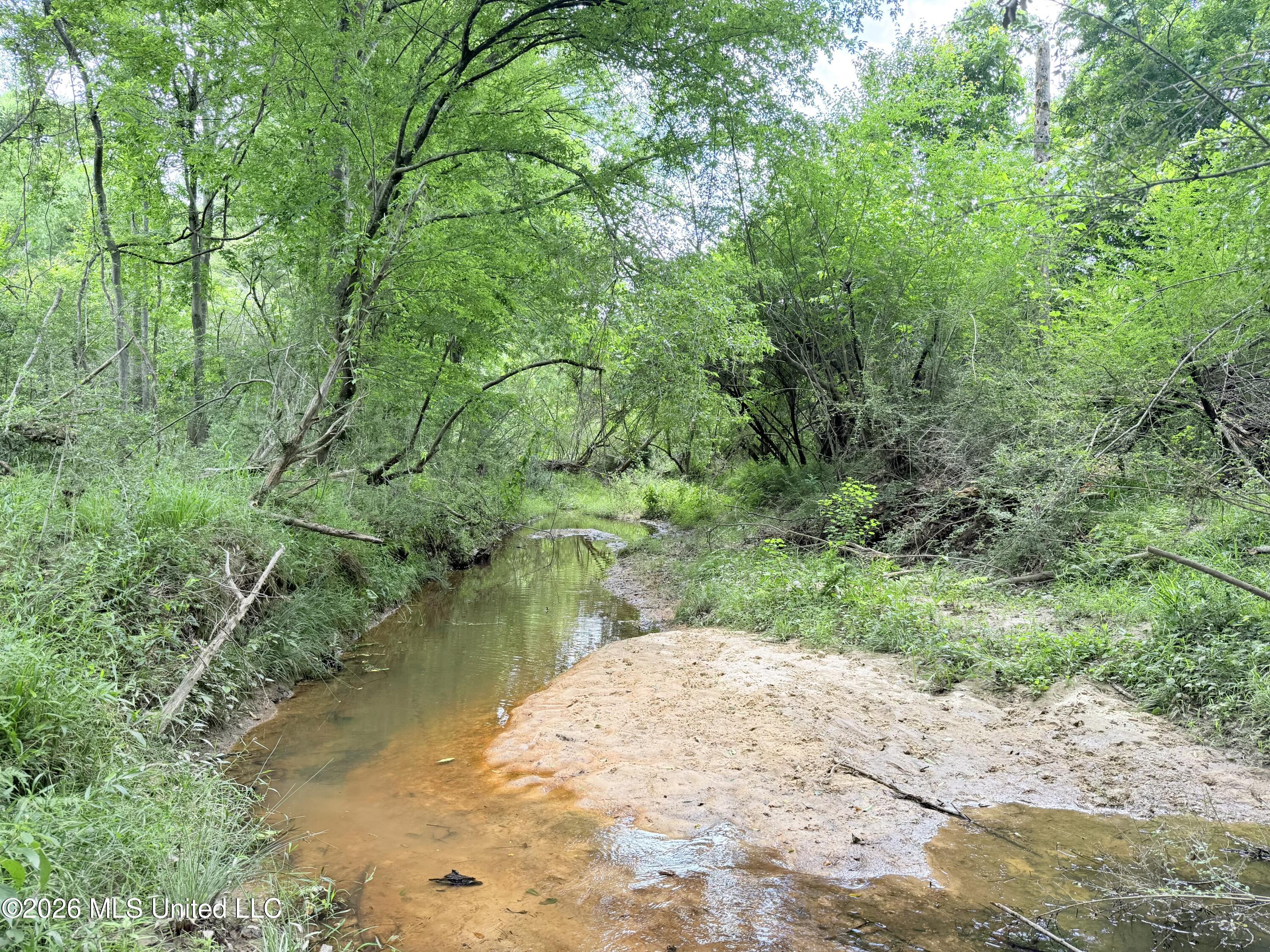 Summit Drive Property Photo 8