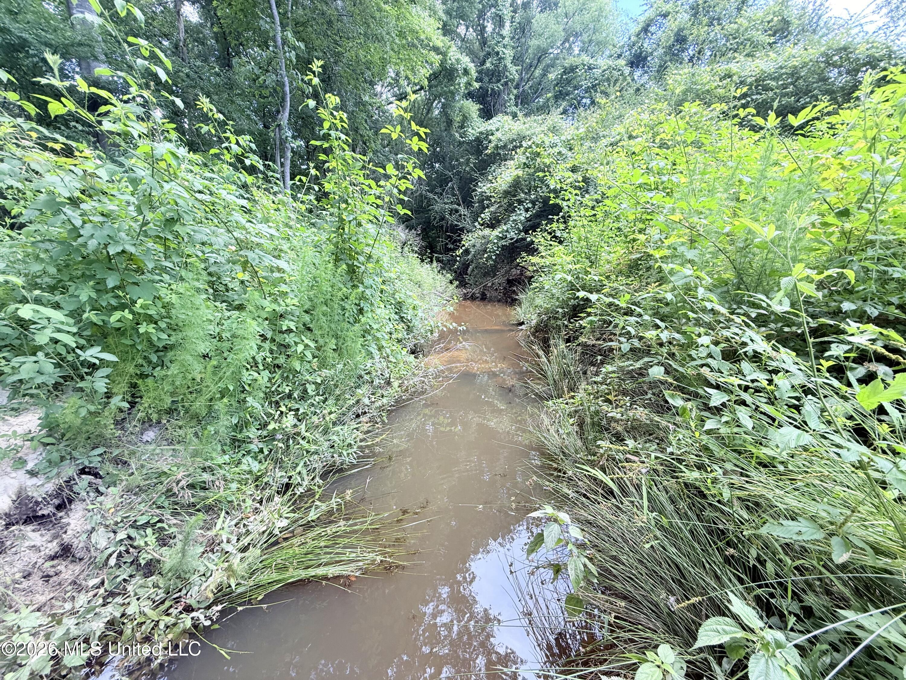 Summit Drive Property Photo 9