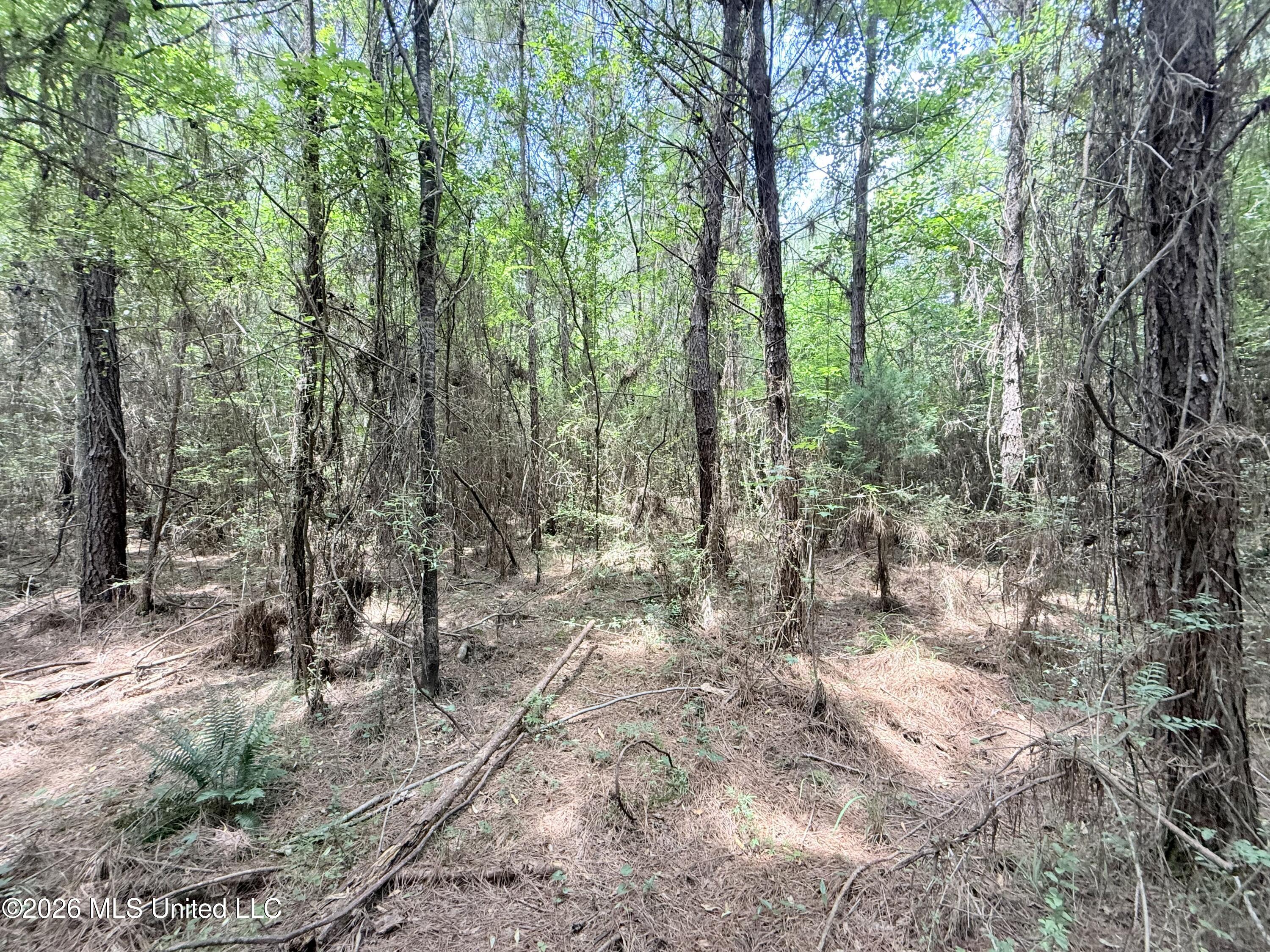 Summit Drive Property Photo 10