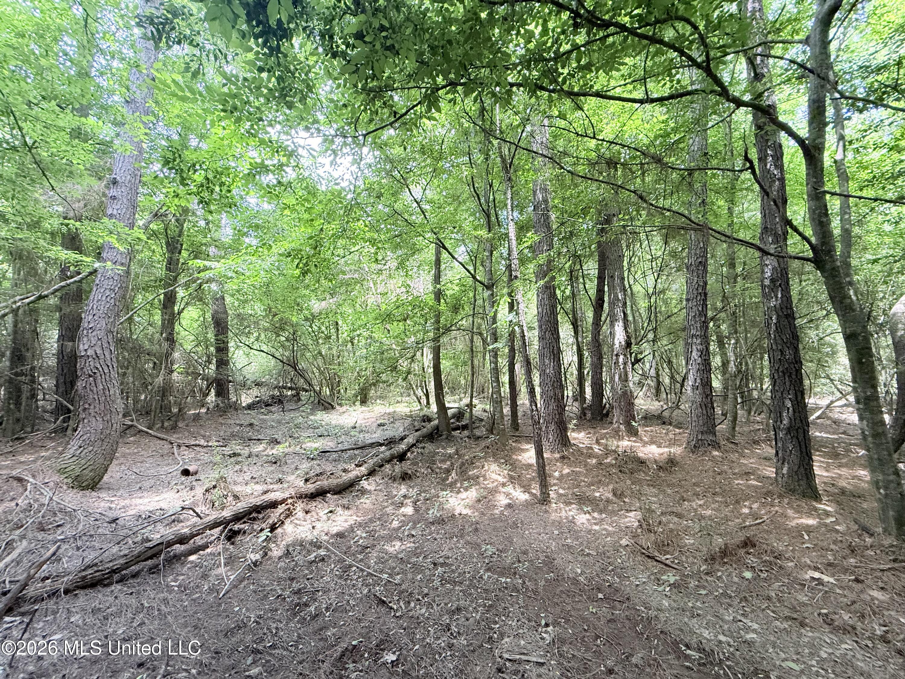 Summit Drive Property Photo 12