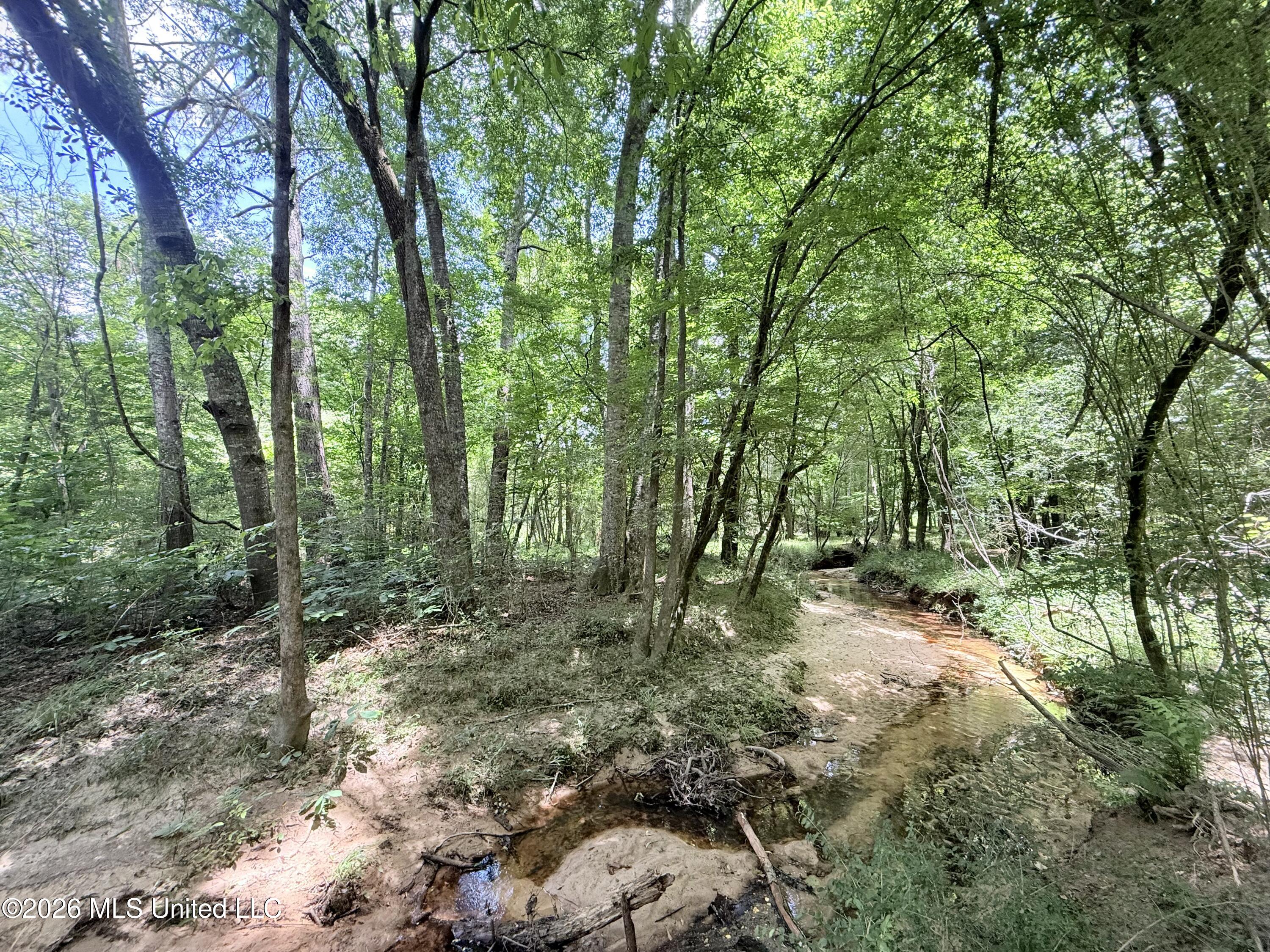 Summit Drive Property Photo 14