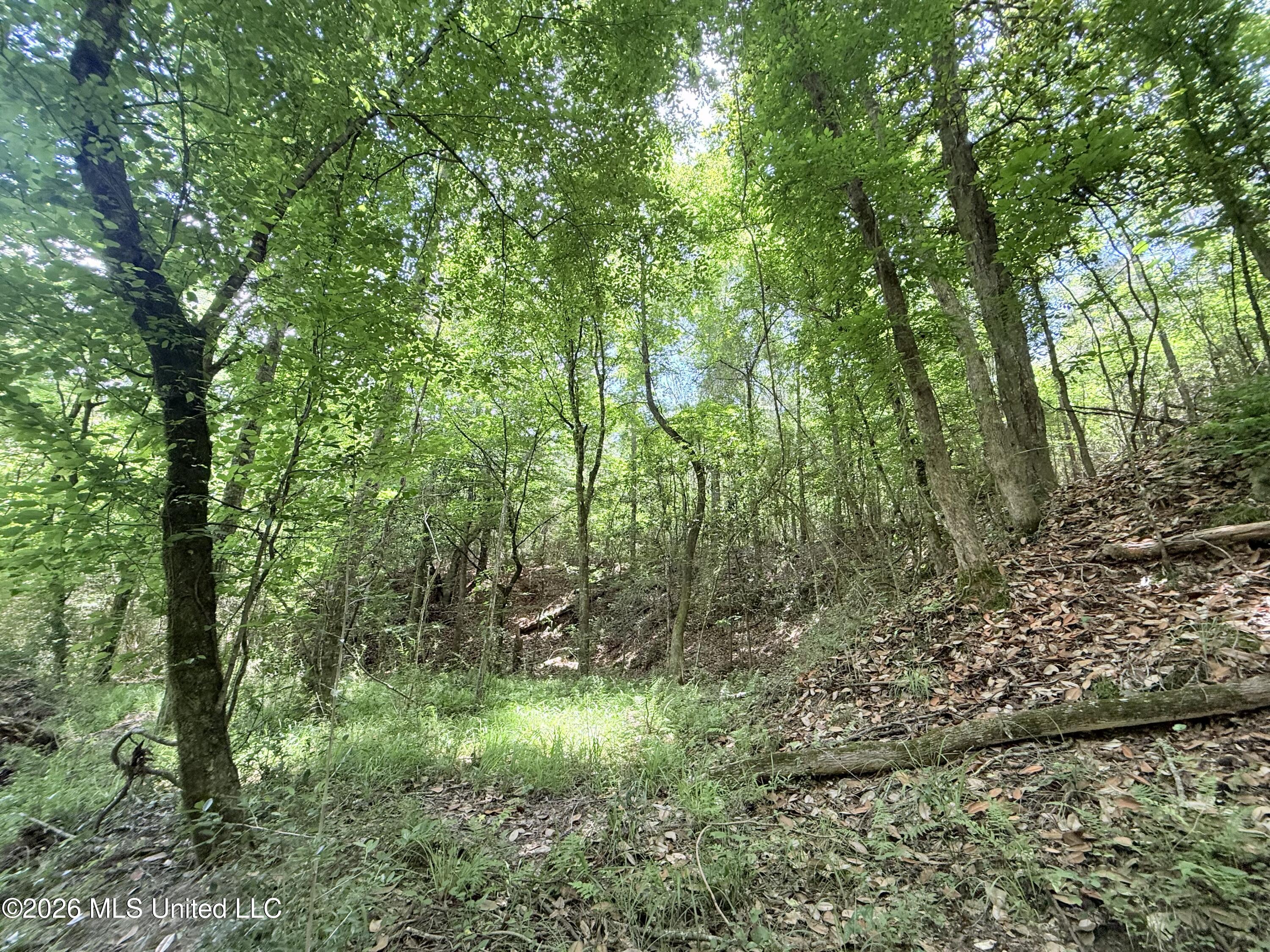 Summit Drive Property Photo 17