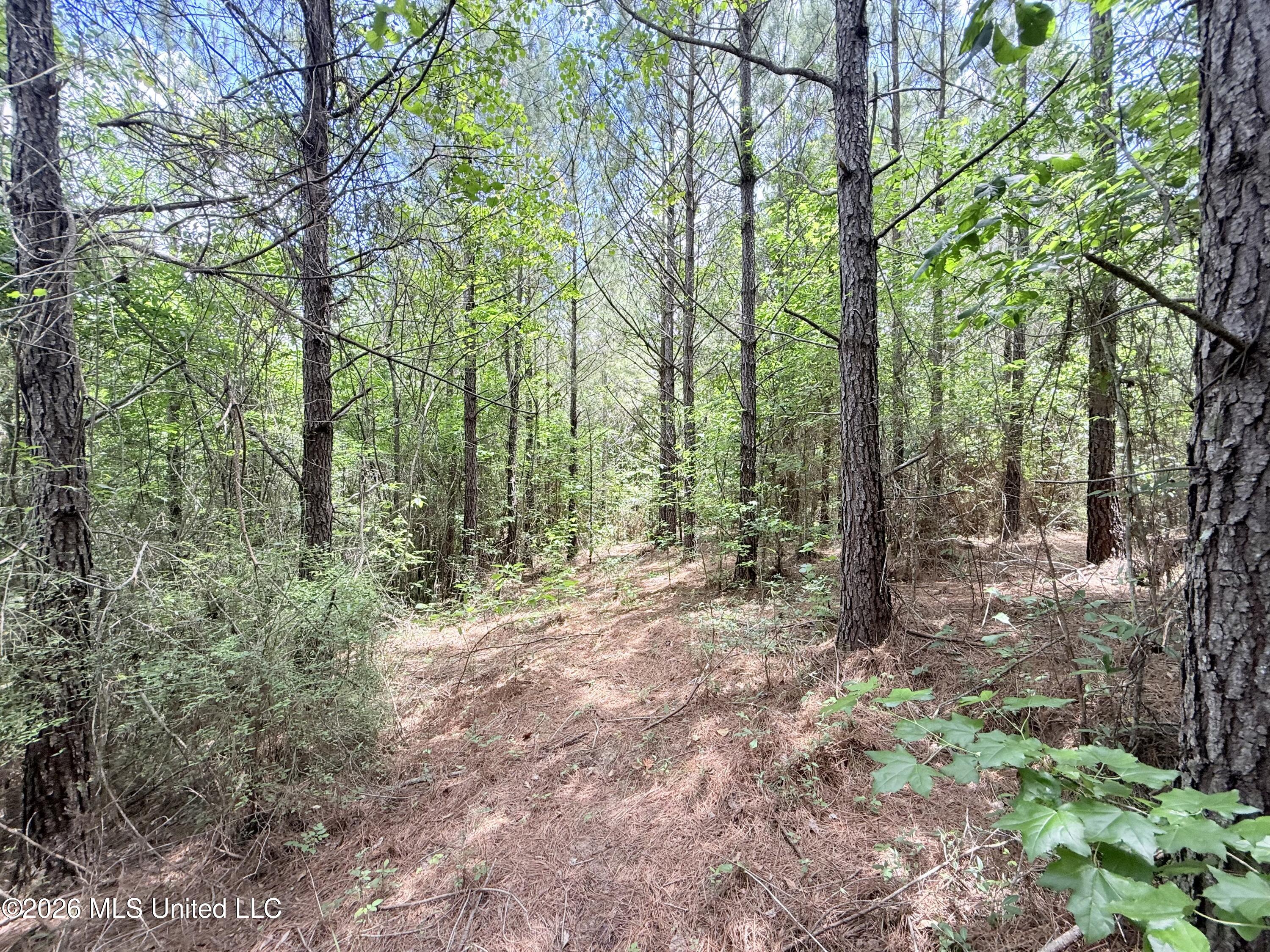 Summit Drive Property Photo 19
