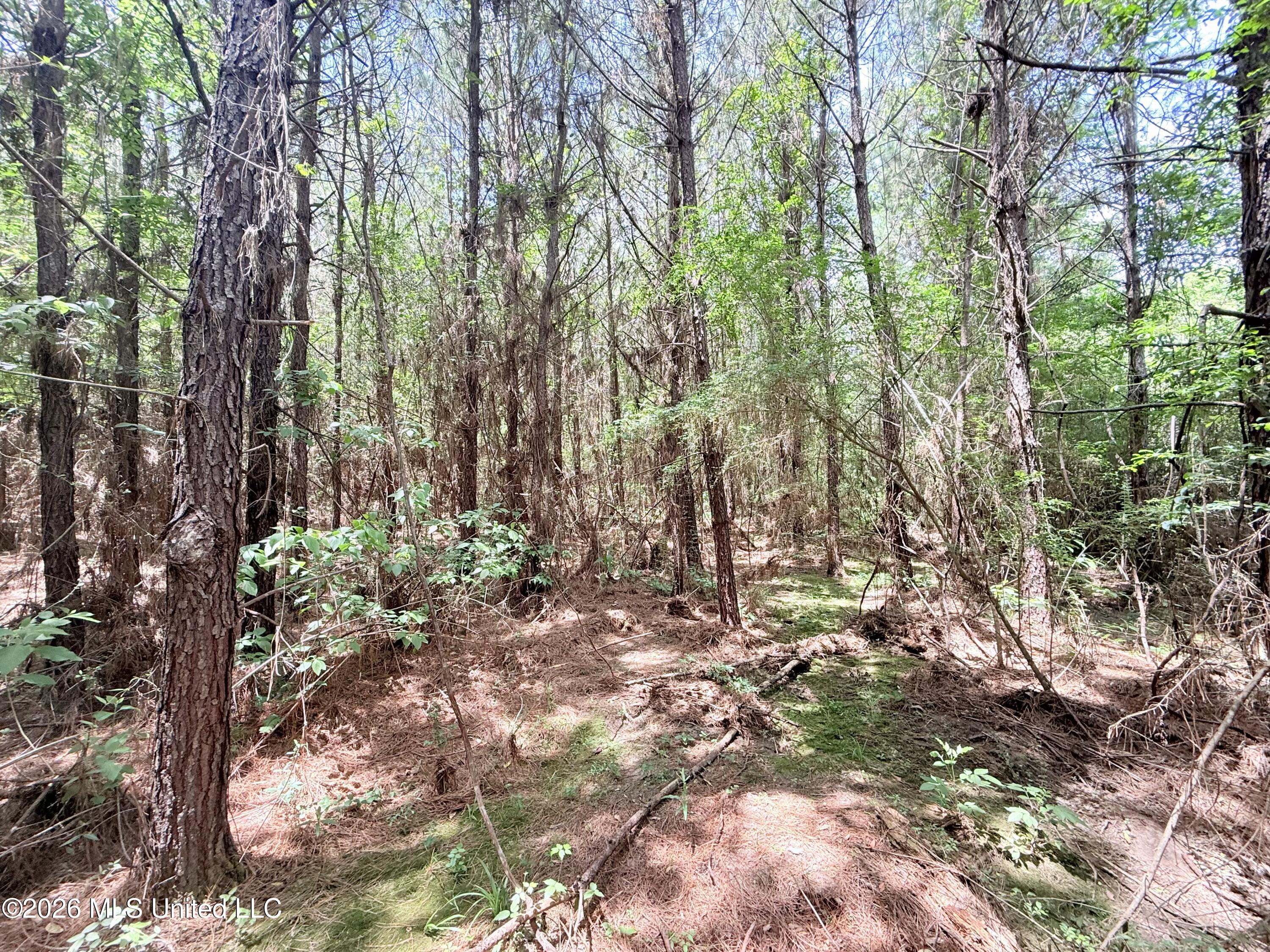 Summit Drive Property Photo 20