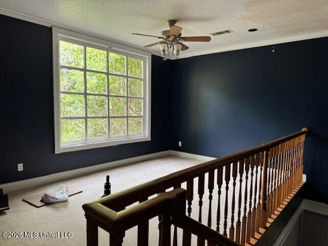 5300 Beardslee Street Property Photo 15
