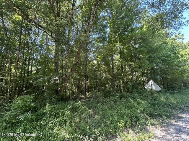 Lower Gloster Road Property Photo 3